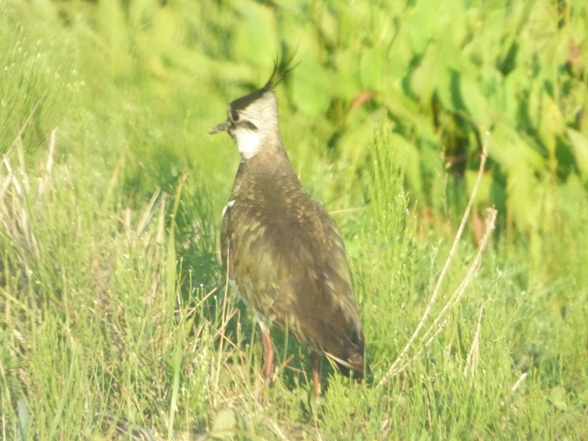 Valokuvaaja: Hannu Rissanen