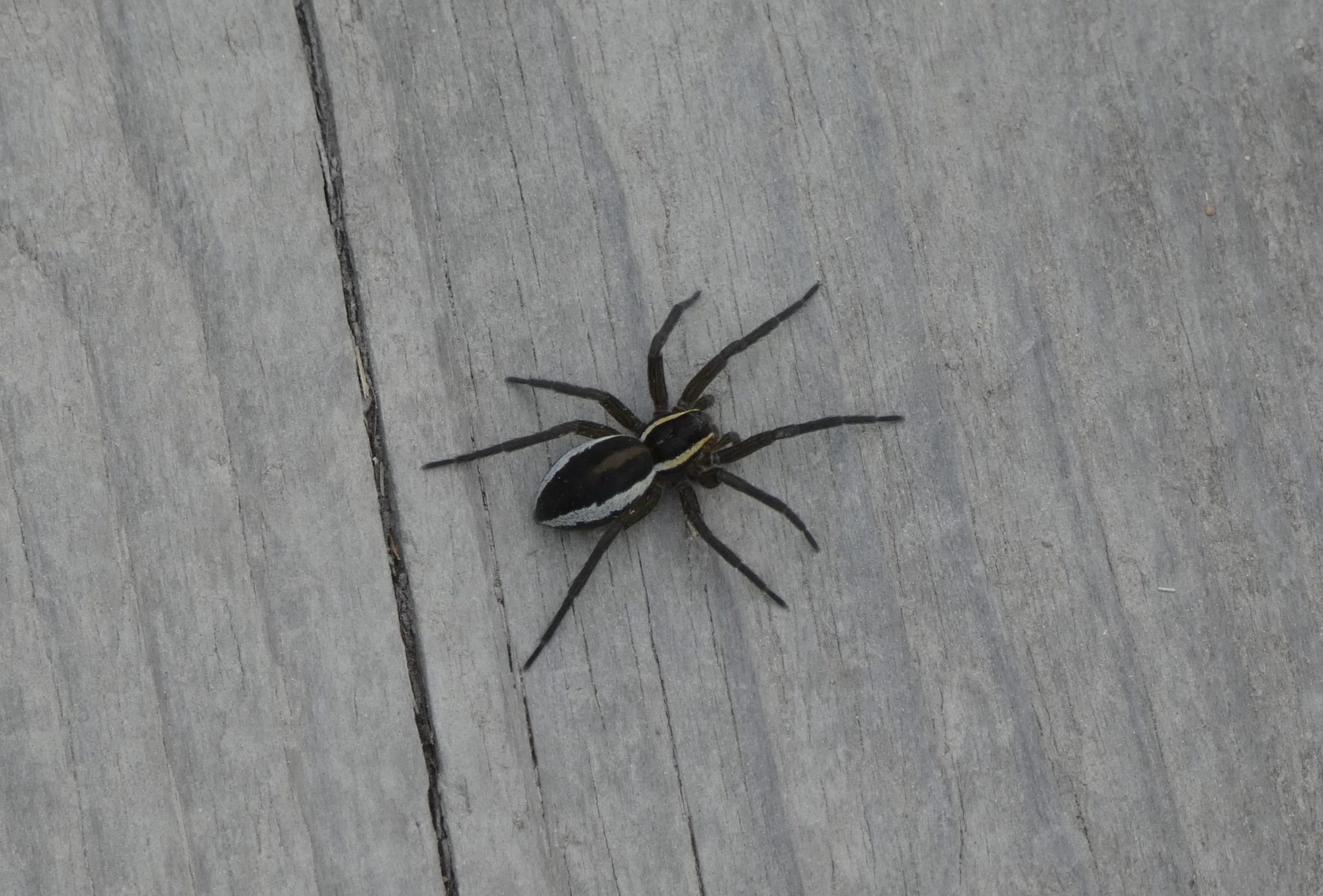 Valokuvaaja: Katja Korhonen