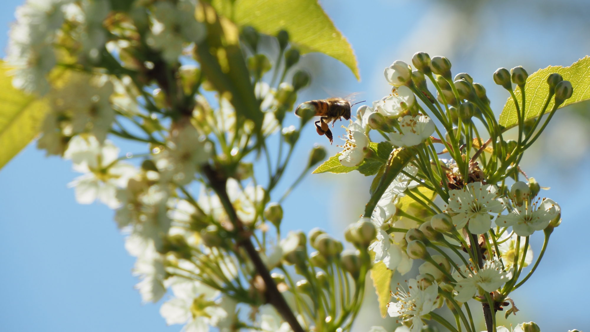 Valokuvaaja: Arja Valtonen