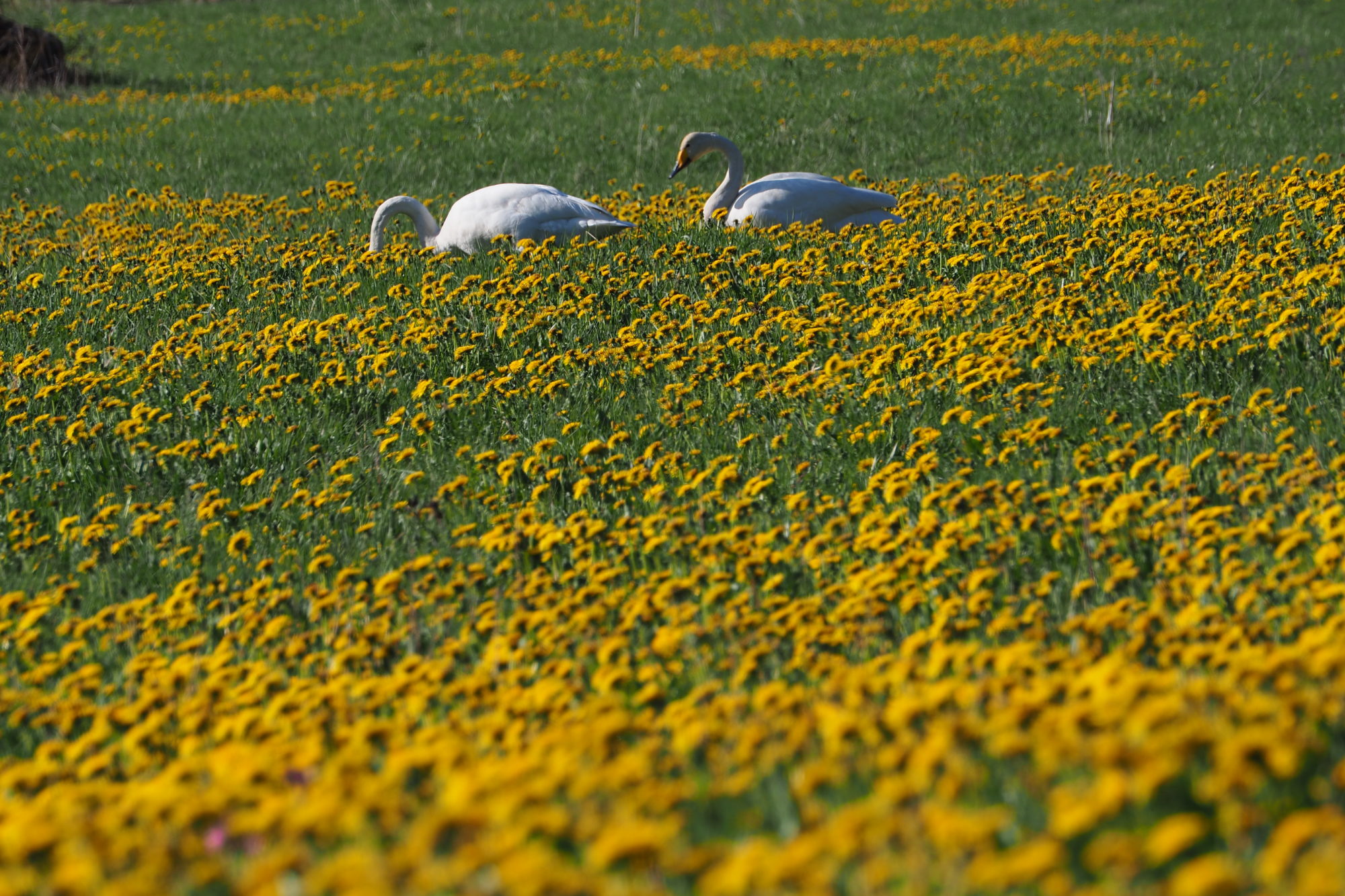 Valokuvaaja: Sami Soikkeli