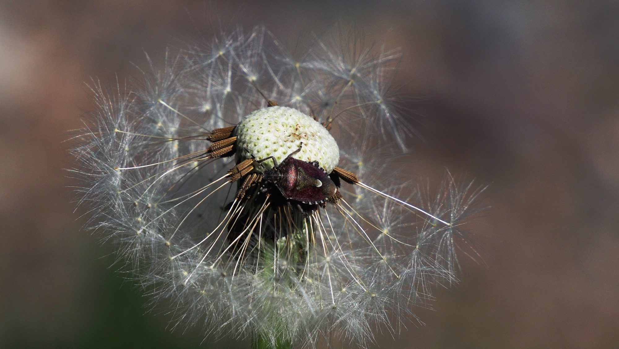 Valokuvaaja: Arja Valtonen