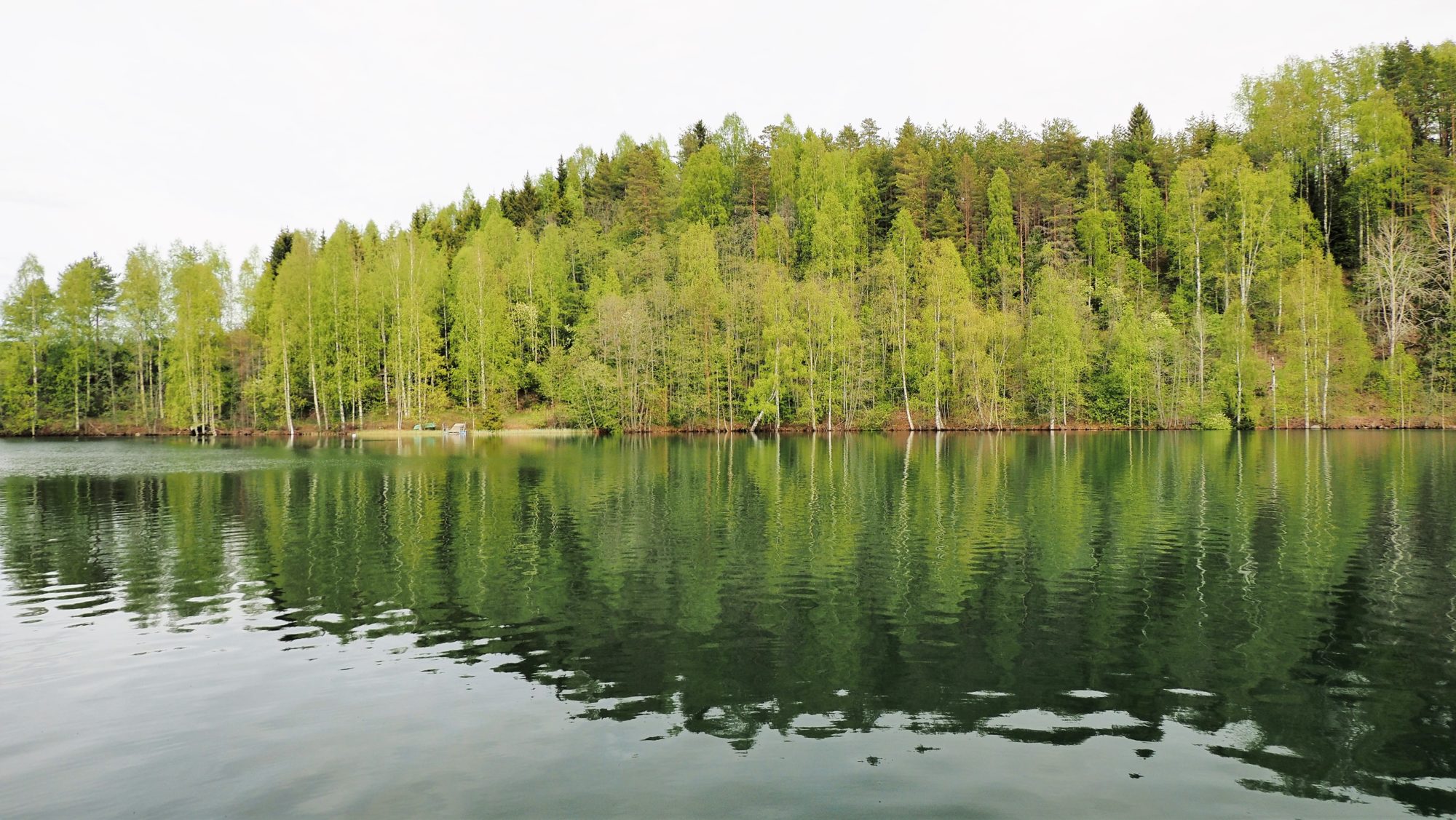 Valokuvaaja: Arja Valtonen