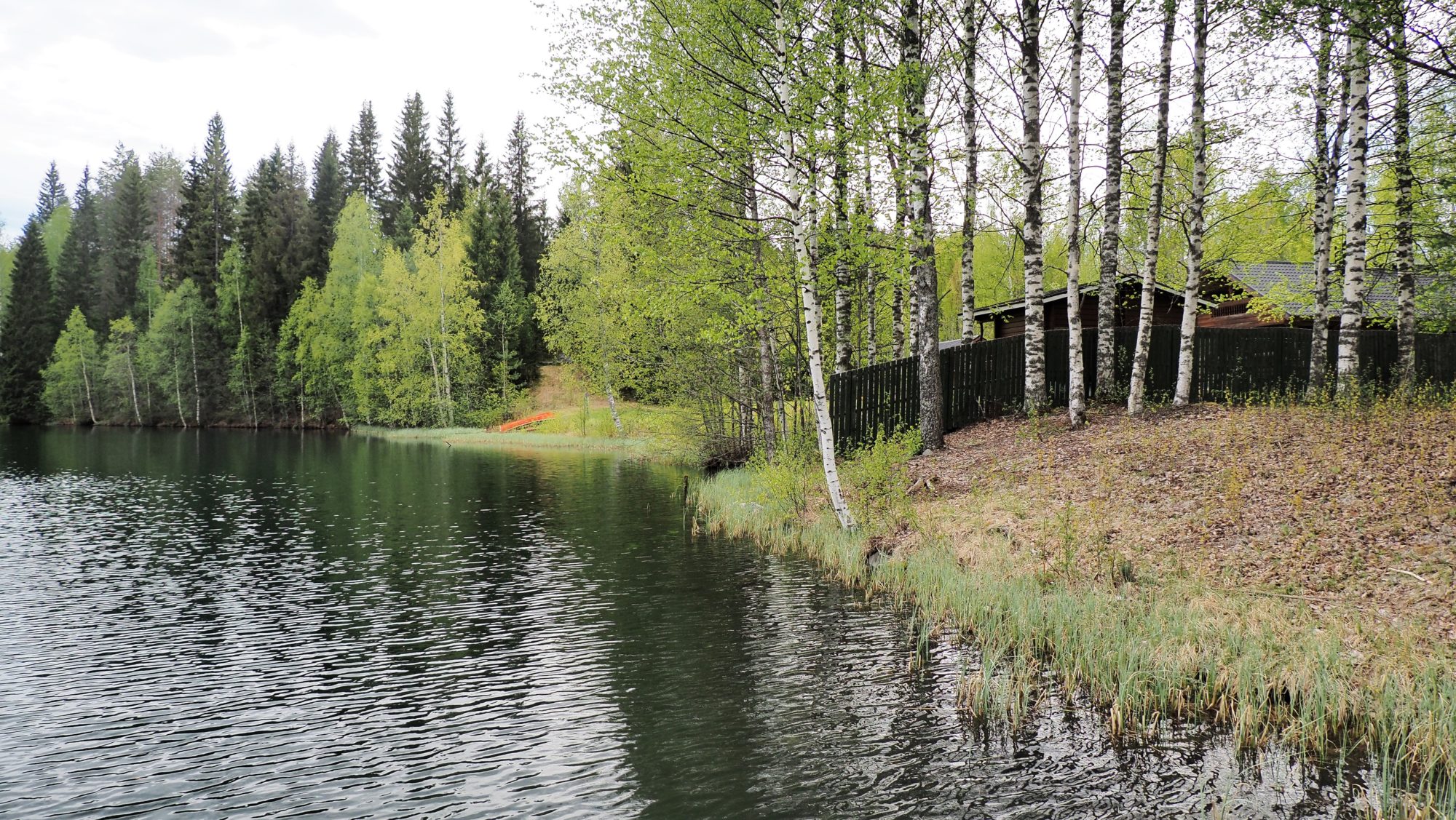 Valokuvaaja: Arja Valtonen Valokuvaaja: Arja Valtonen
