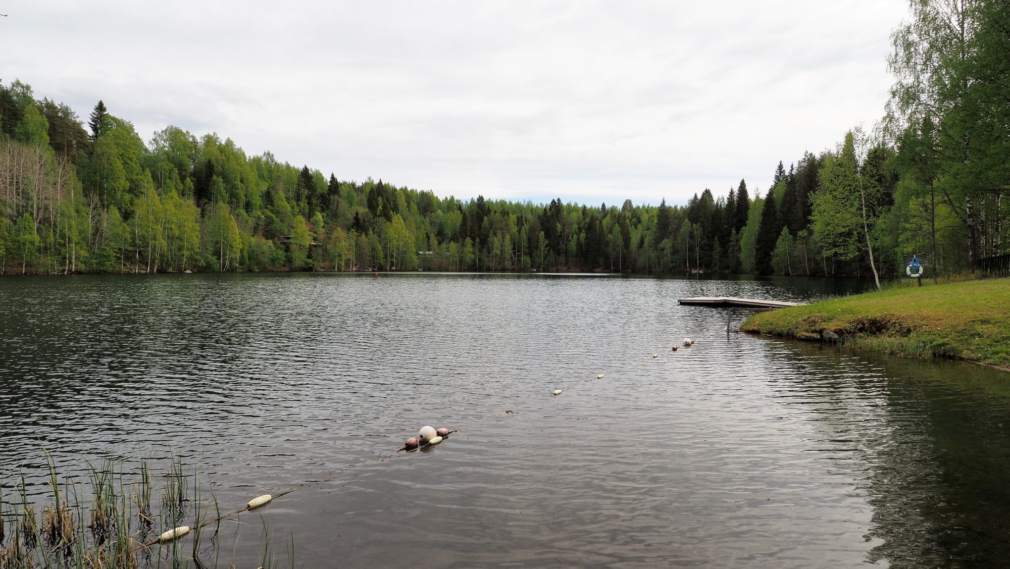 Valokuvaaja: Arja Valtonen