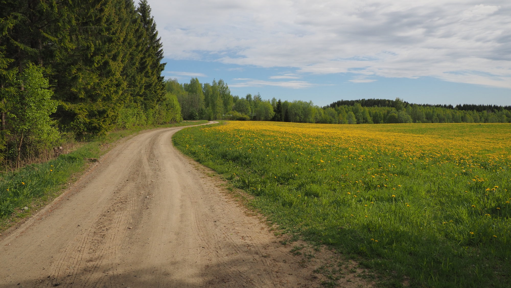 Valokuvaaja: Arja Valtonen