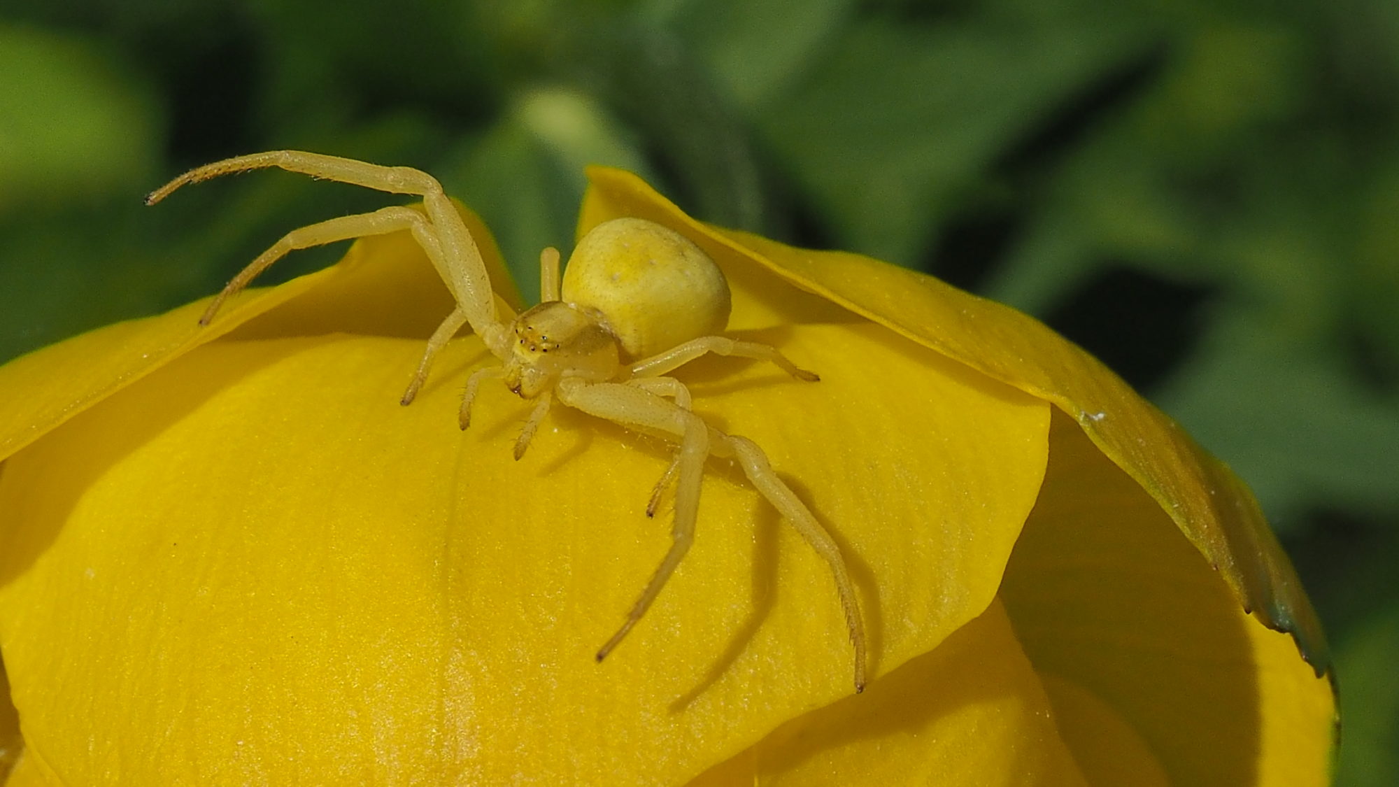 Valokuvaaja: Martti Valtonen