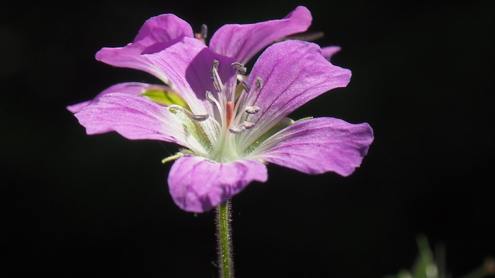 Valokuvaaja: Martti Valtonen