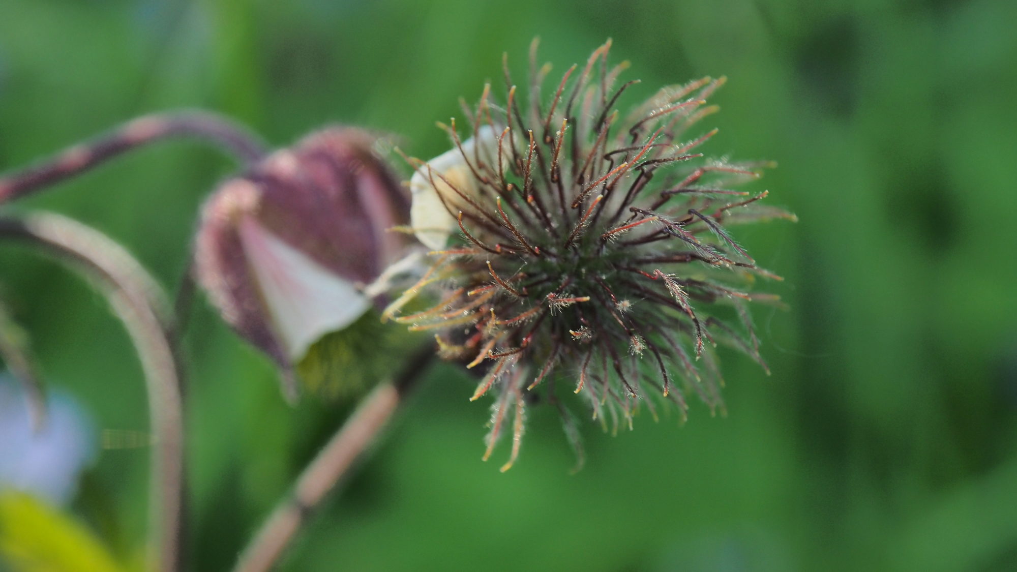 Valokuvaaja: Valtonen Martti