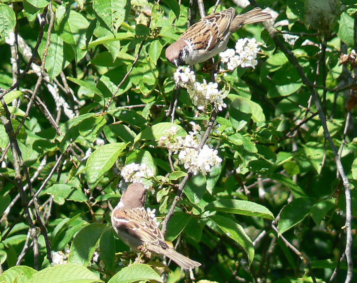 Valokuvaaja: Pekka Heino