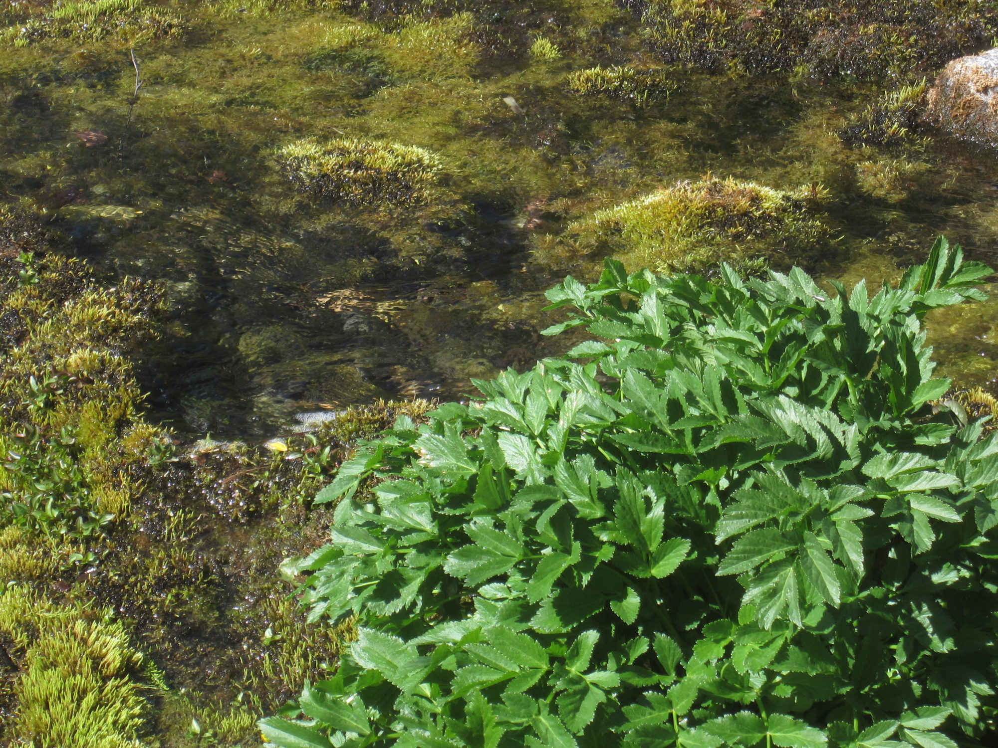 Valokuvaaja: Marita Portin