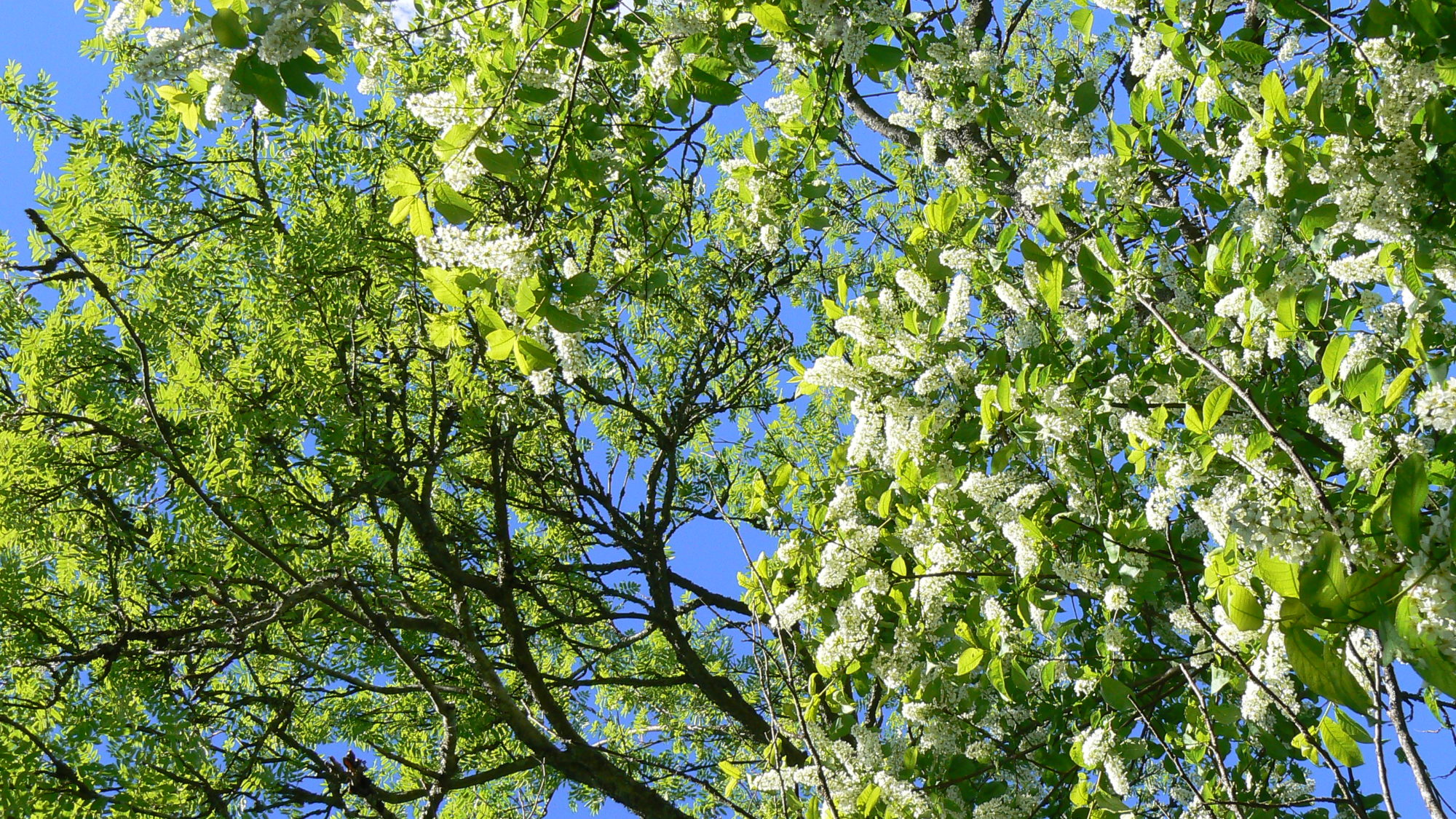 Valokuvaaja: Pekka Heino