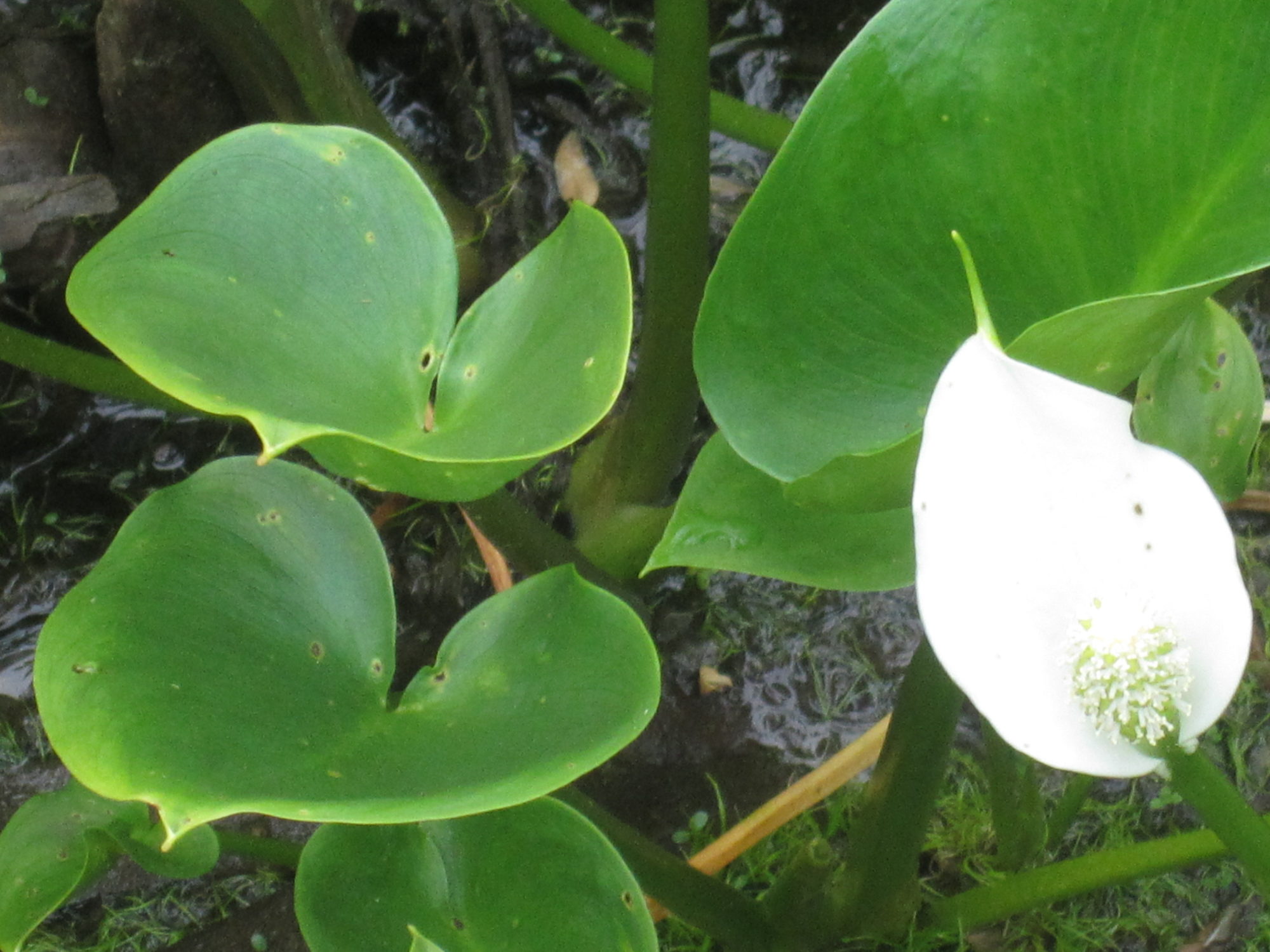 Valokuvaaja: Marita Portin