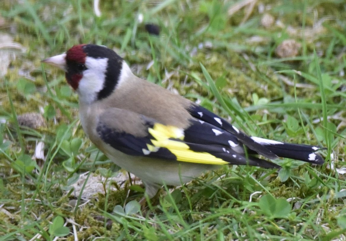 Valokuvaaja: Hannu Yläinen