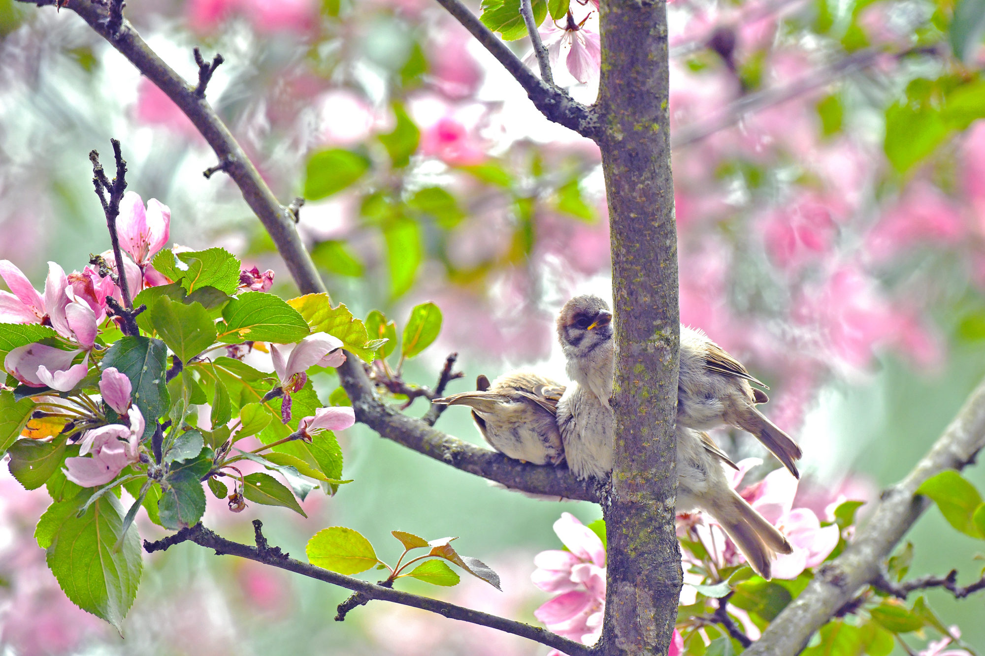 Valokuvaaja: Esko Pihl