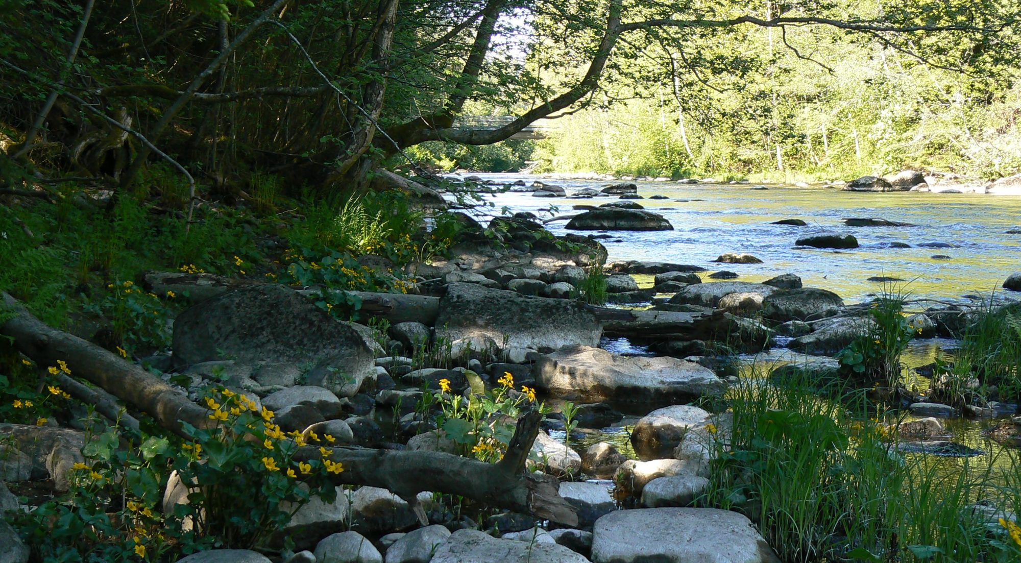 Valokuvaaja: Pekka Heino