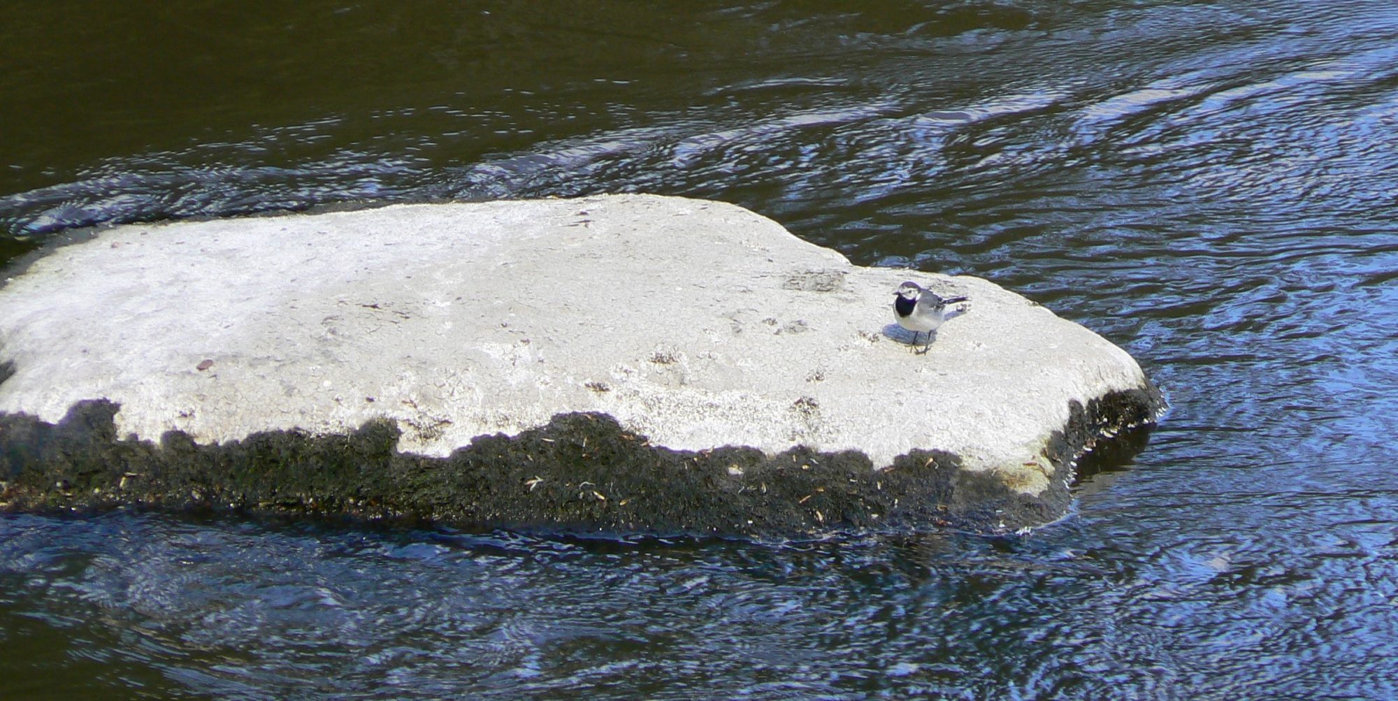 Valokuvaaja: Pekka Heino