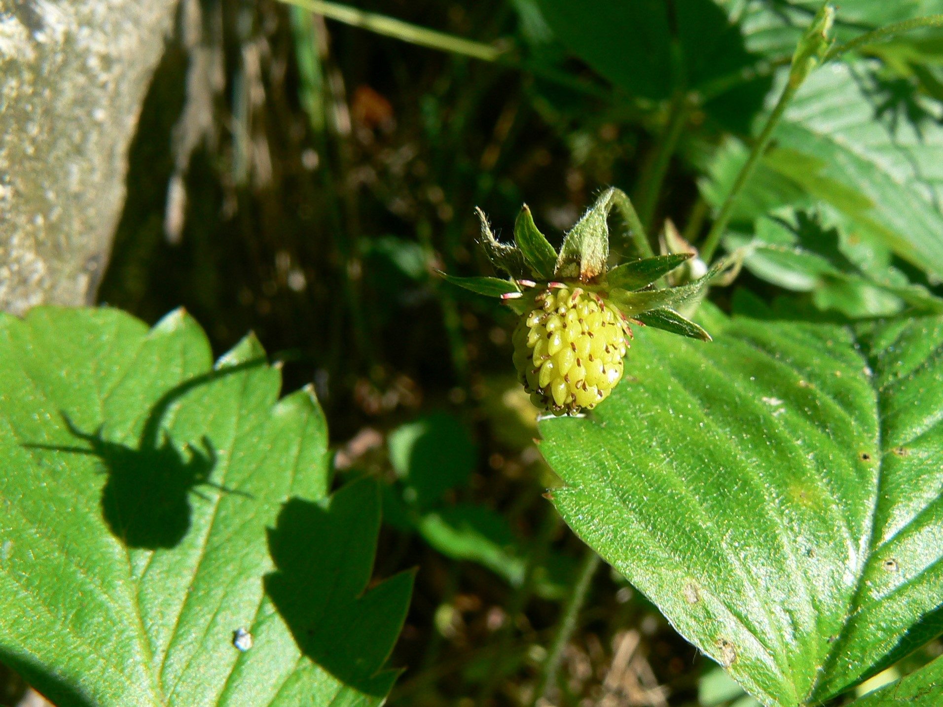 Valokuvaaja: Pekka Heino