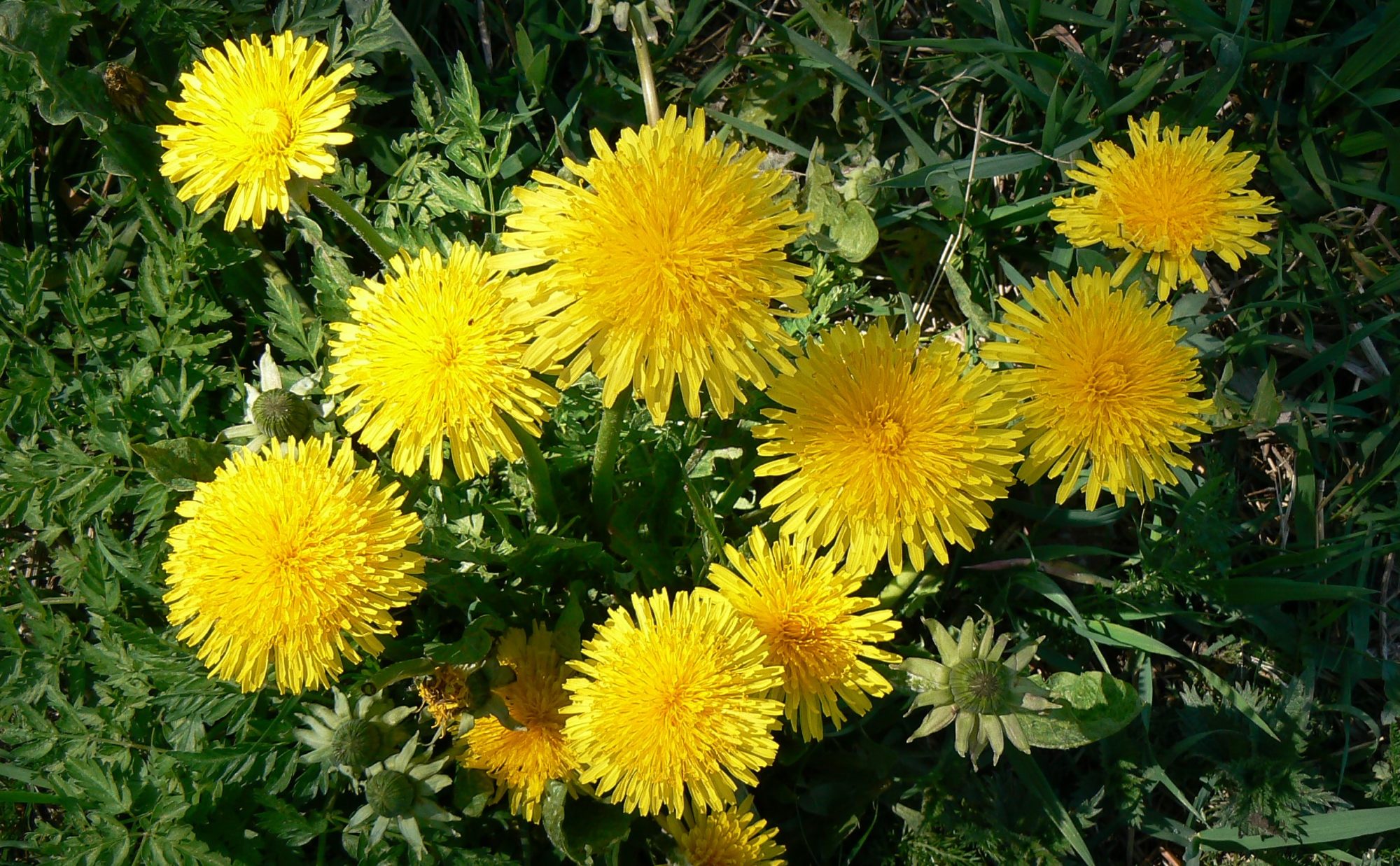 Valokuvaaja: Pekka Heino