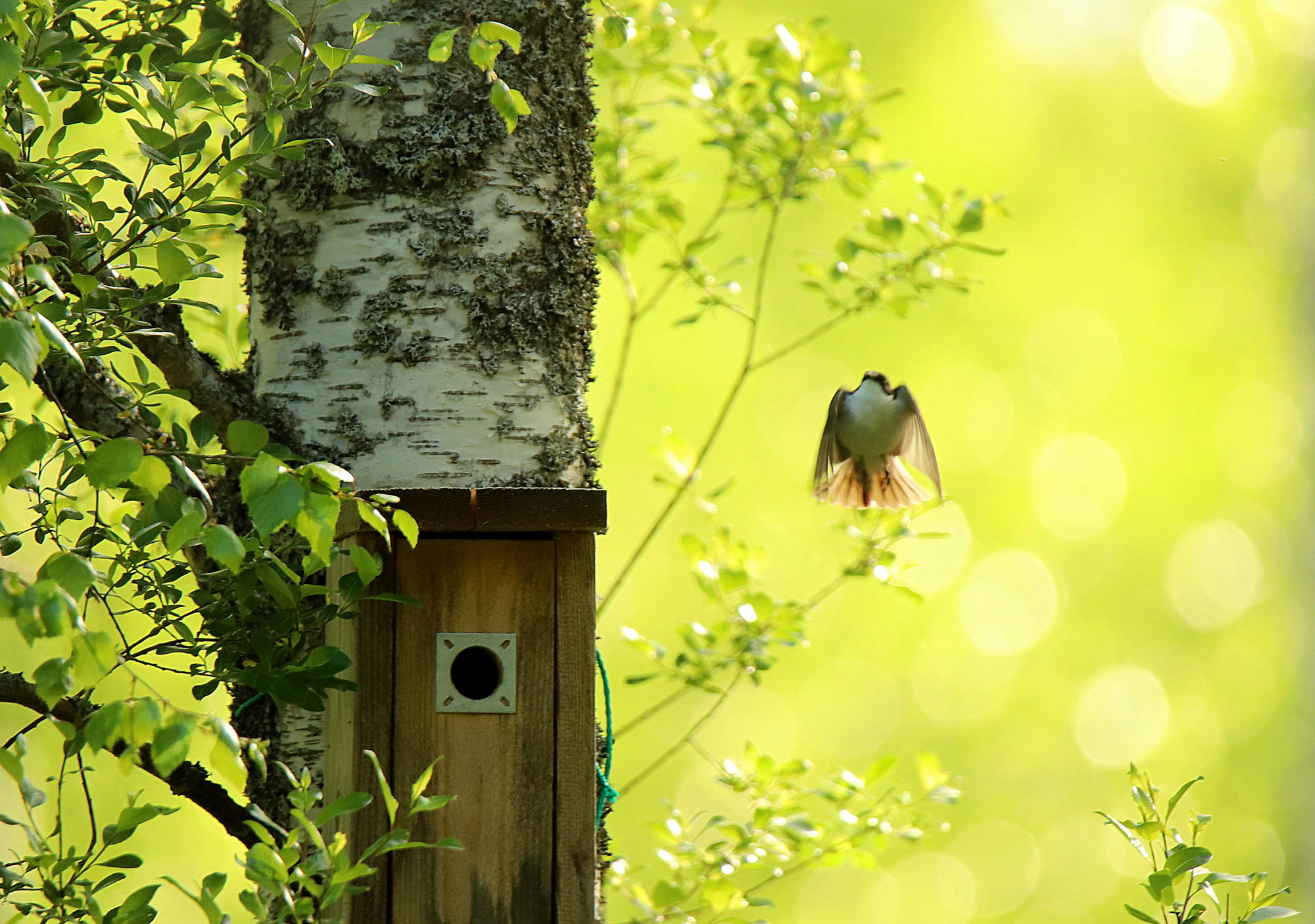 Valokuvaaja: sirpa jyske