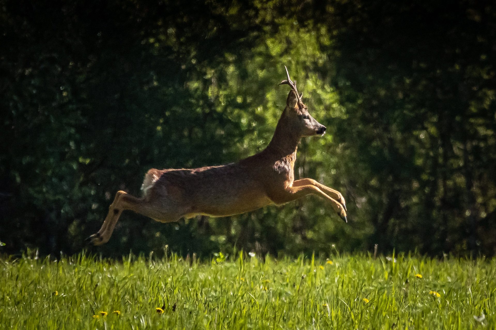 Valokuvaaja: Ari Kaarakainen