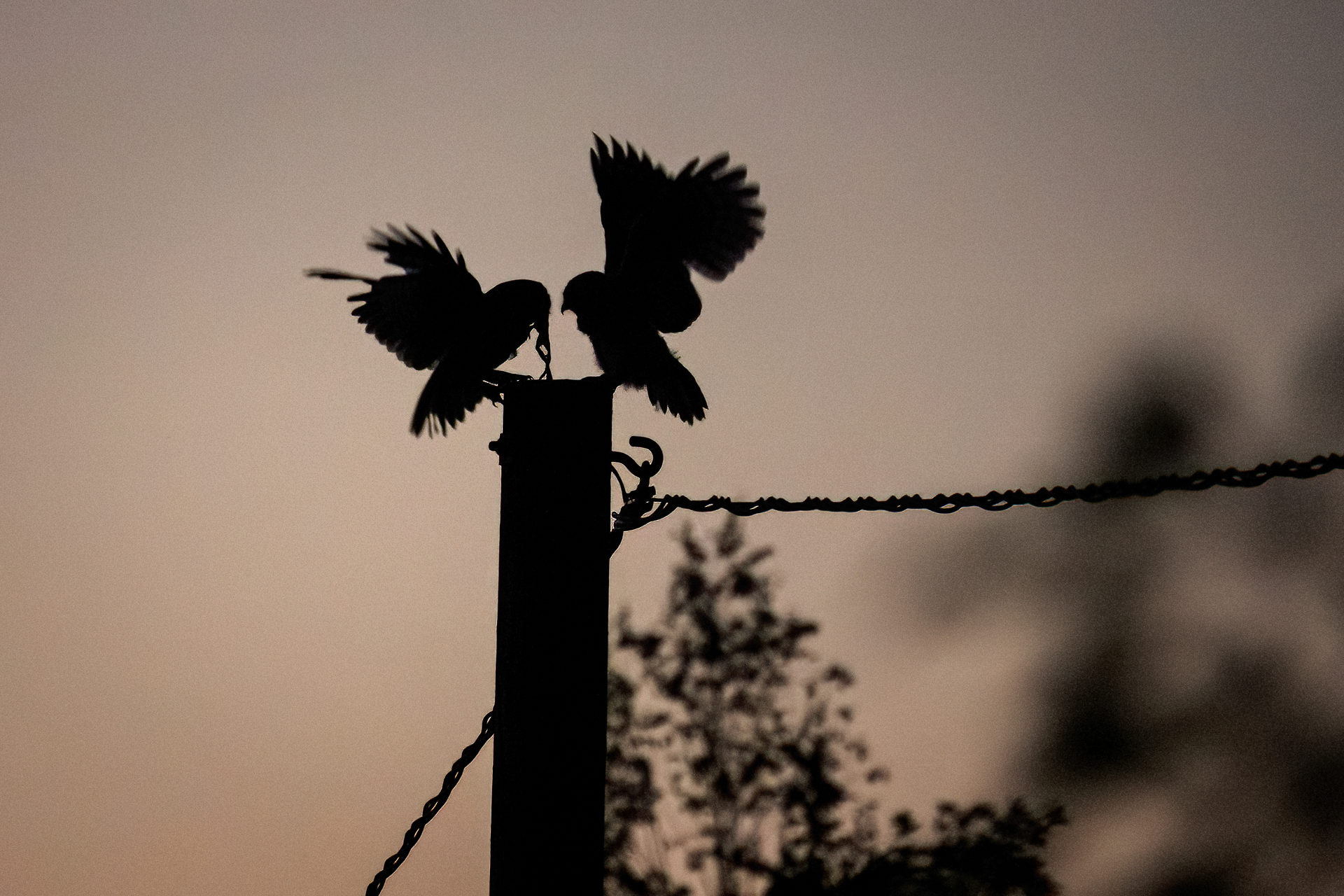 Valokuvaaja: Ari Kaarakainen