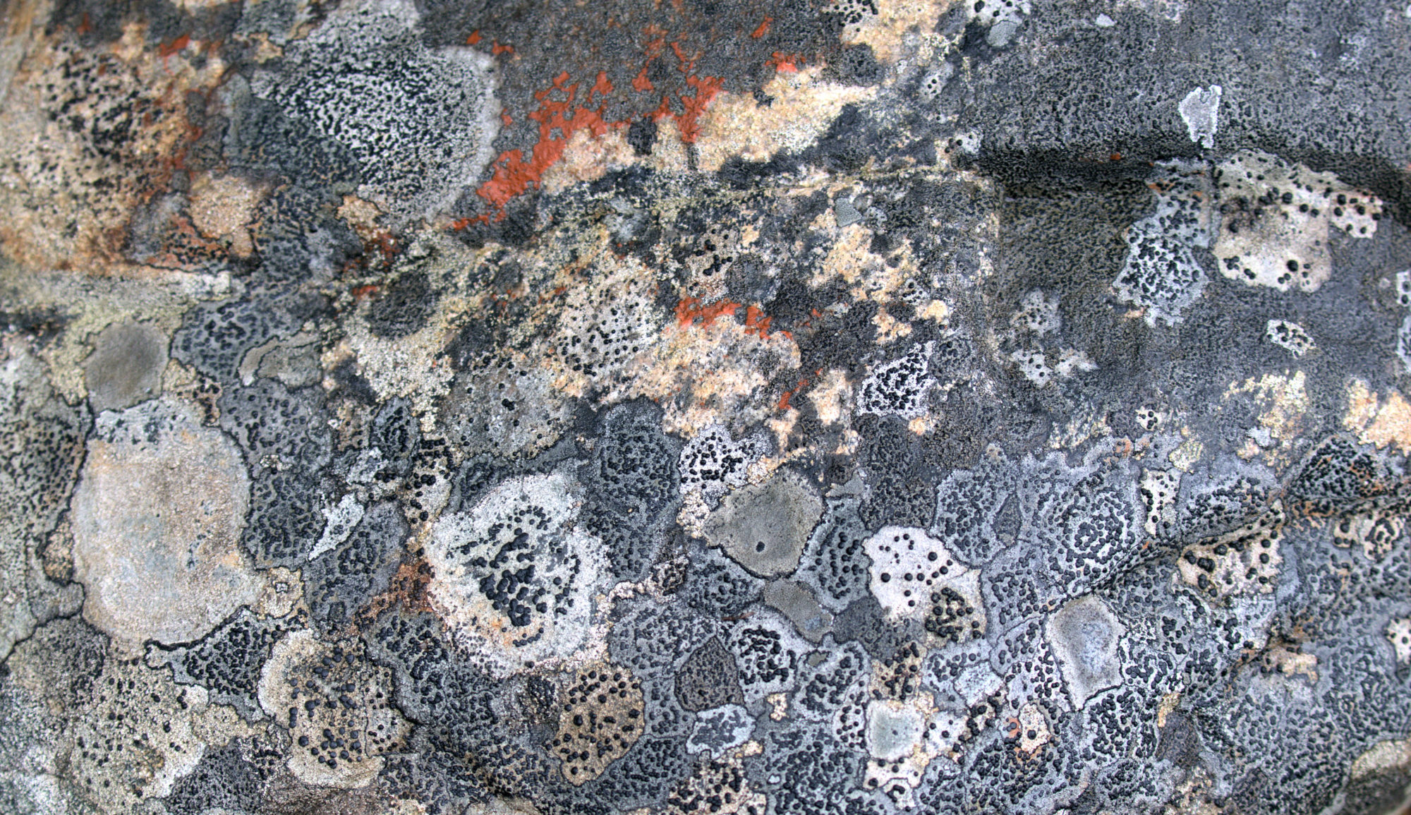 Valokuvaaja: Ahti Keränen