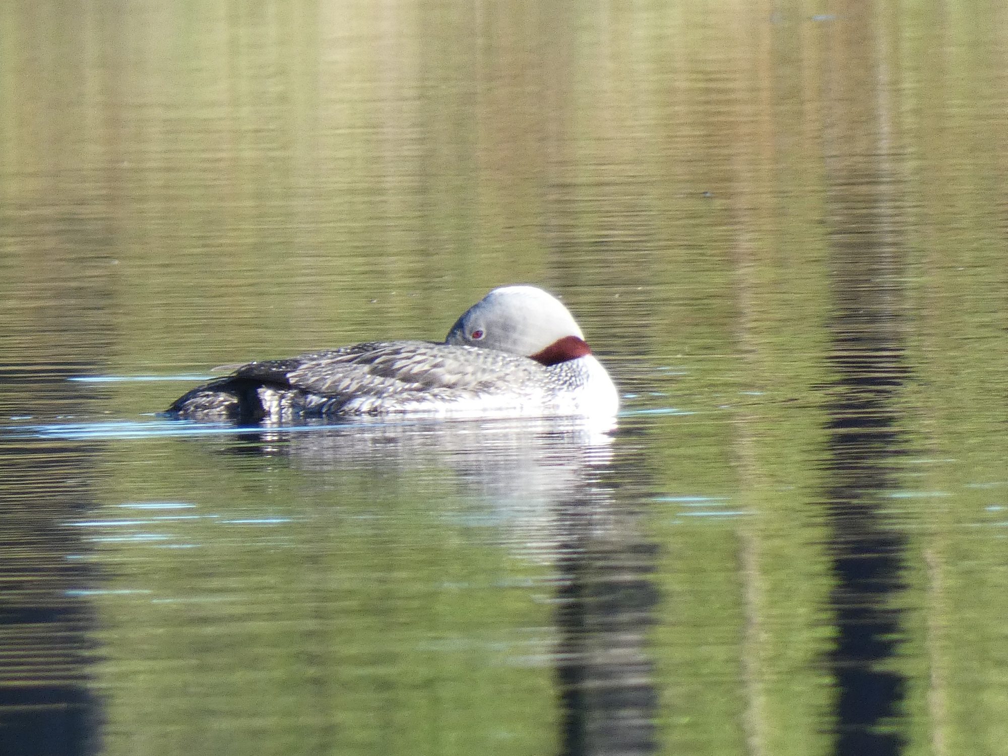 Valokuvaaja: Eero Peltonen