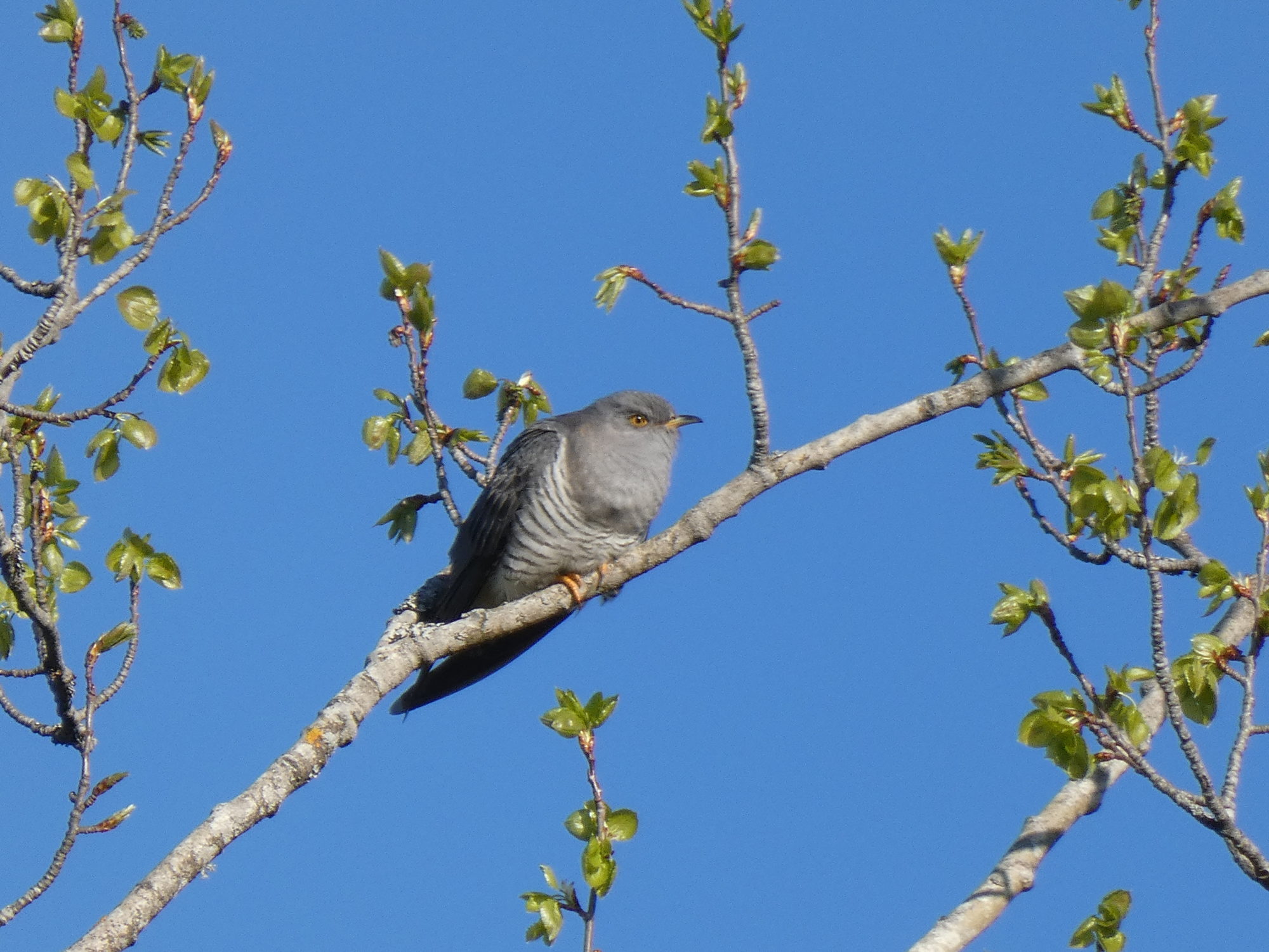 Valokuvaaja: Eero Peltonen