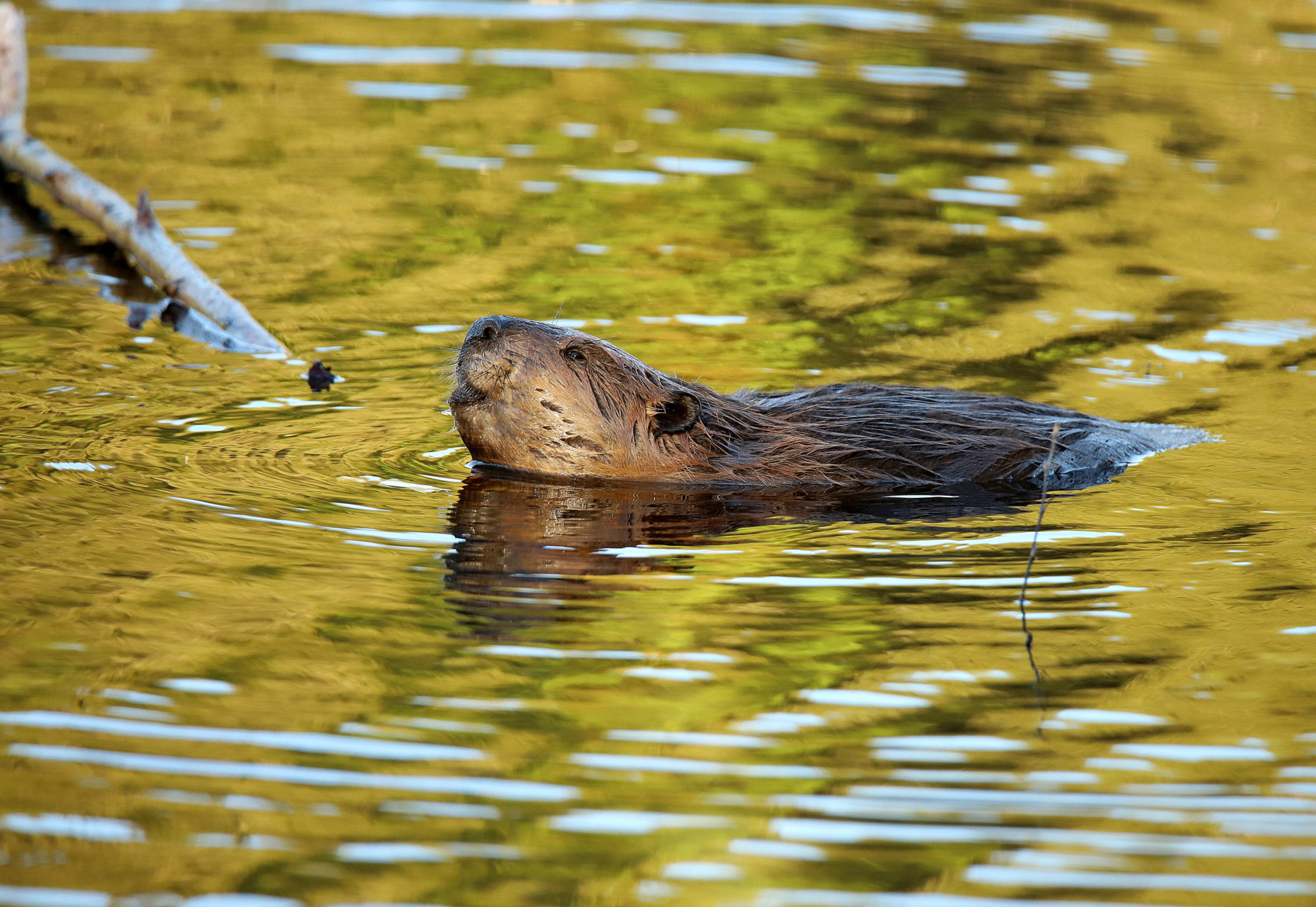 Valokuvaaja: sirpa jyske
