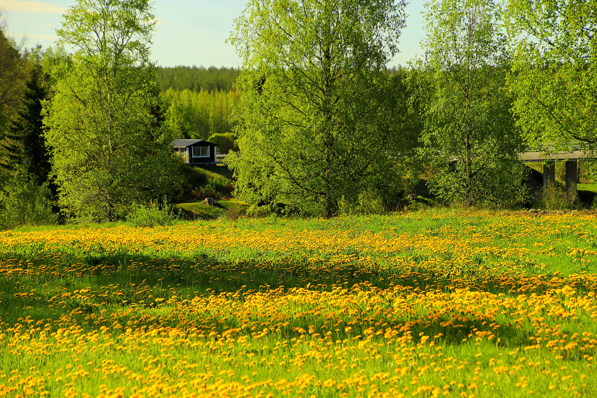 Valokuvaaja: sirpa Jyske