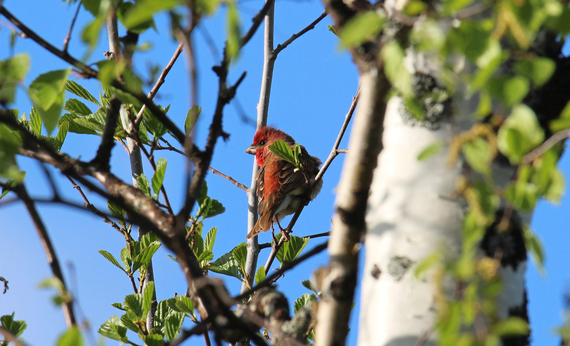 Valokuvaaja: Jaana Saarelainen