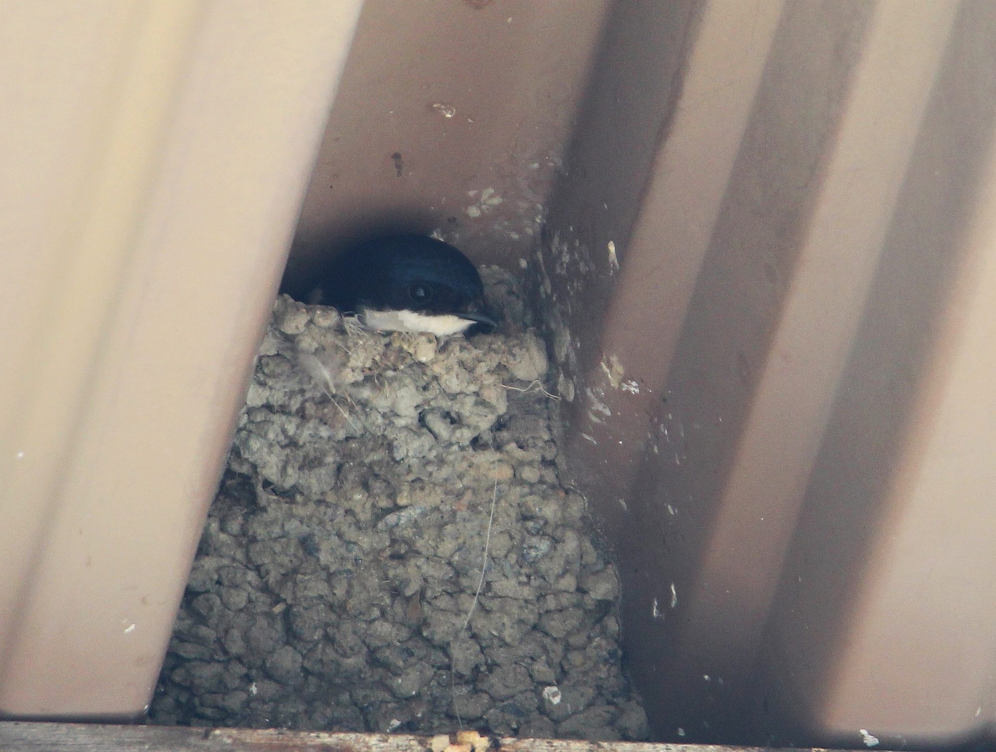 Valokuvaaja: Jaana Saarelainen