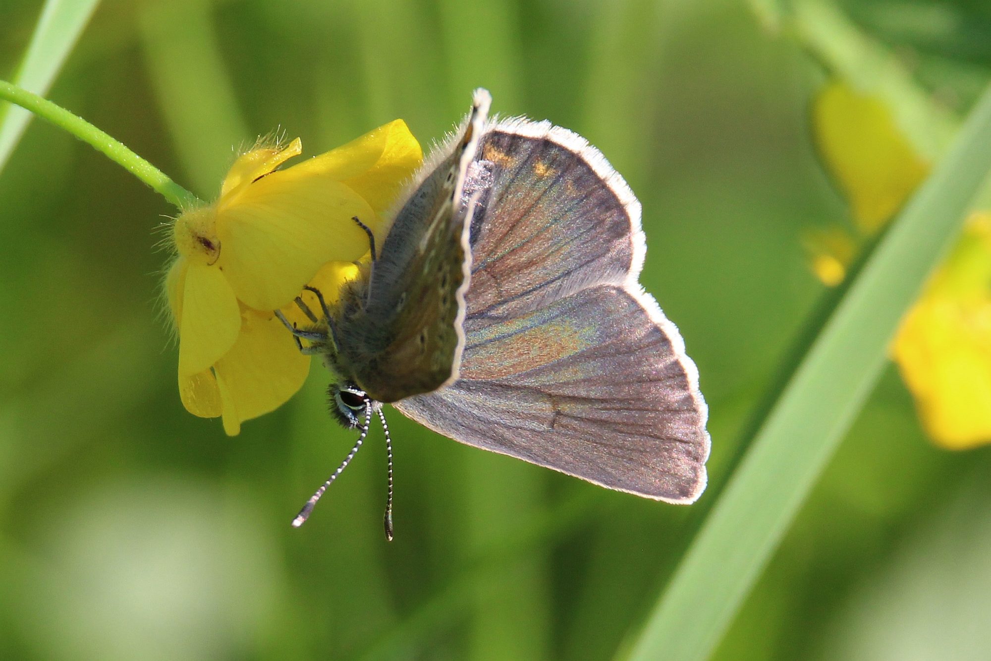 Valokuvaaja: Jaana Saarelainen