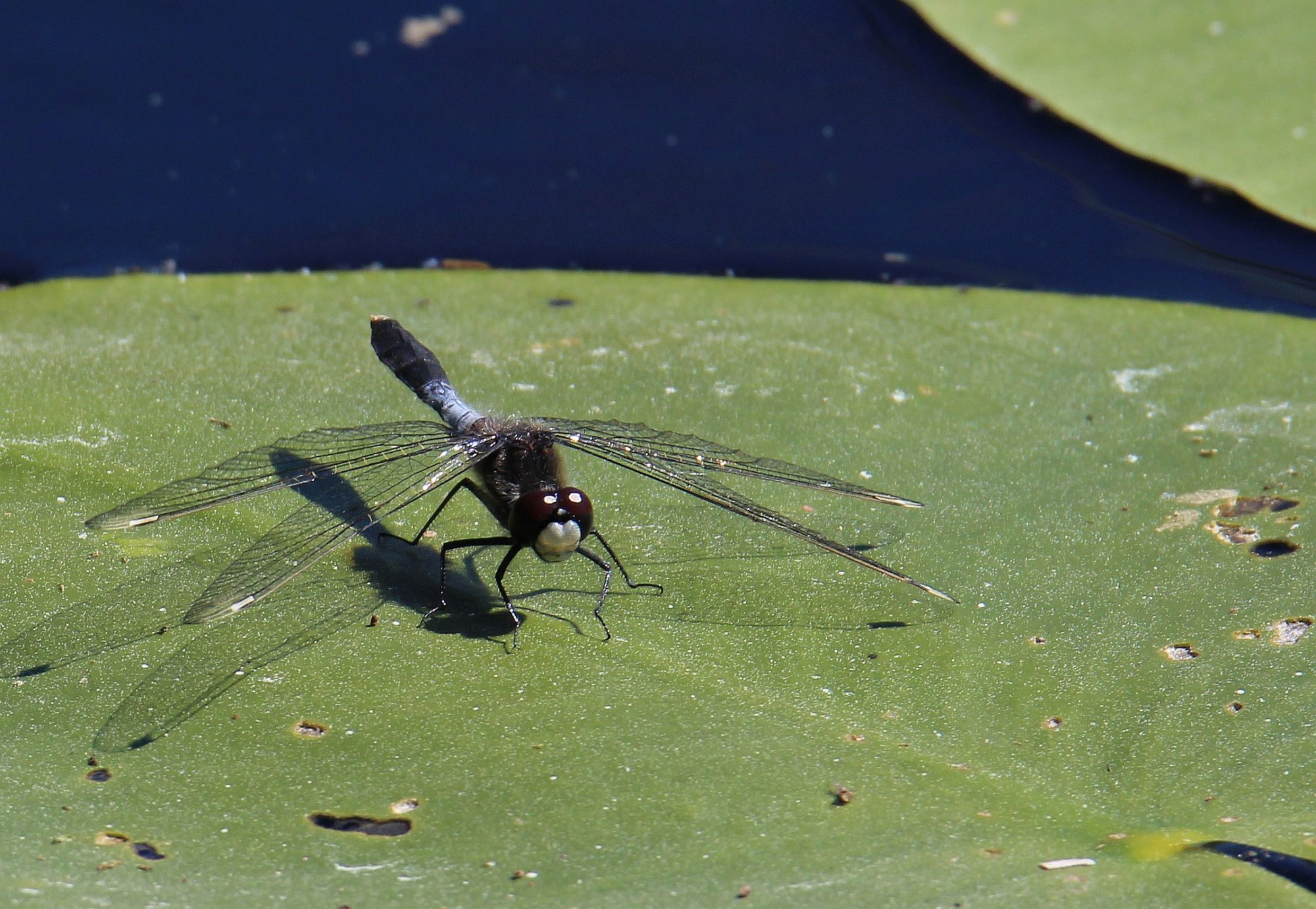 Valokuvaaja: Jaana Saarelainen