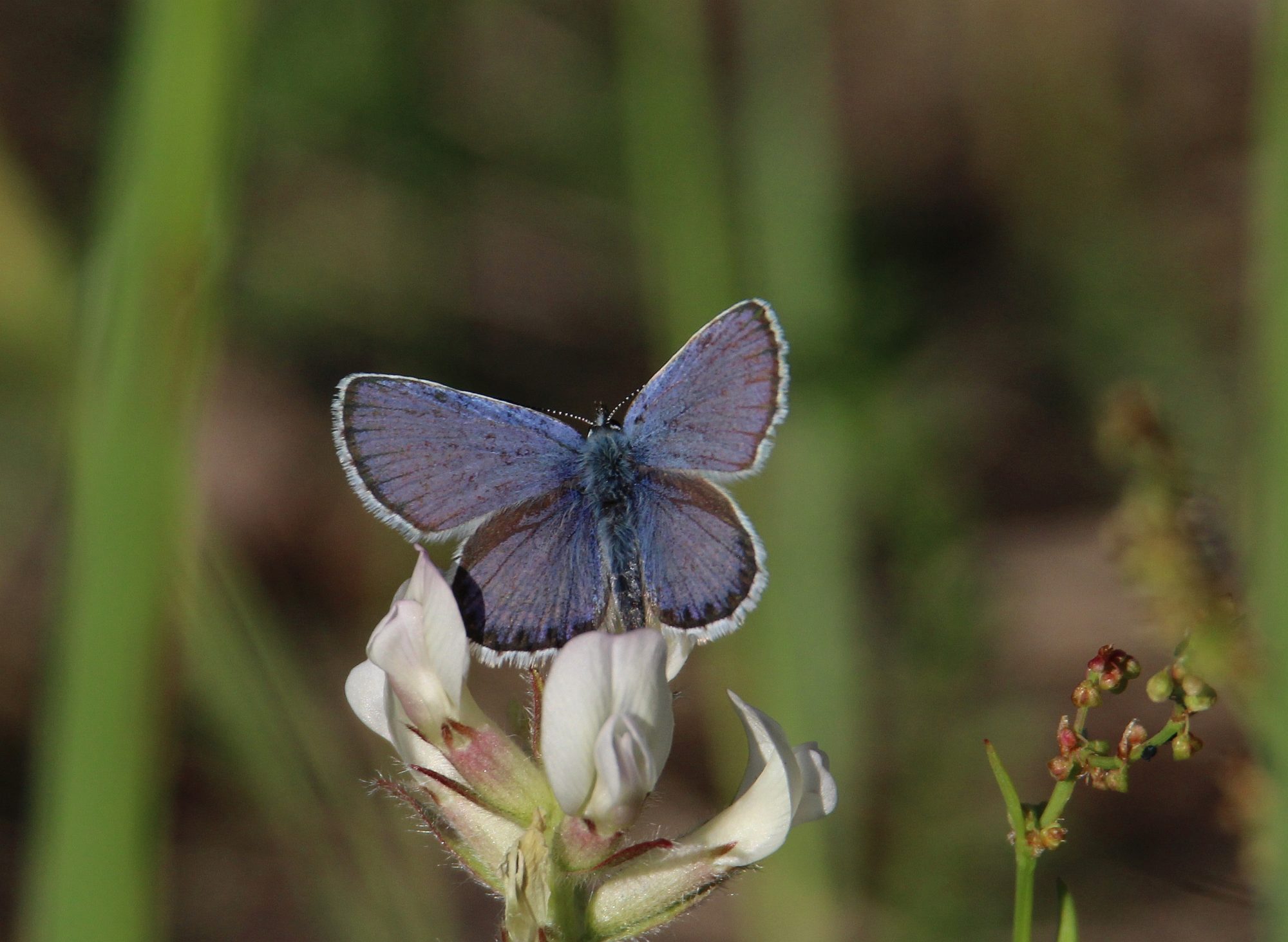 Valokuvaaja: Jaana Saarelainen