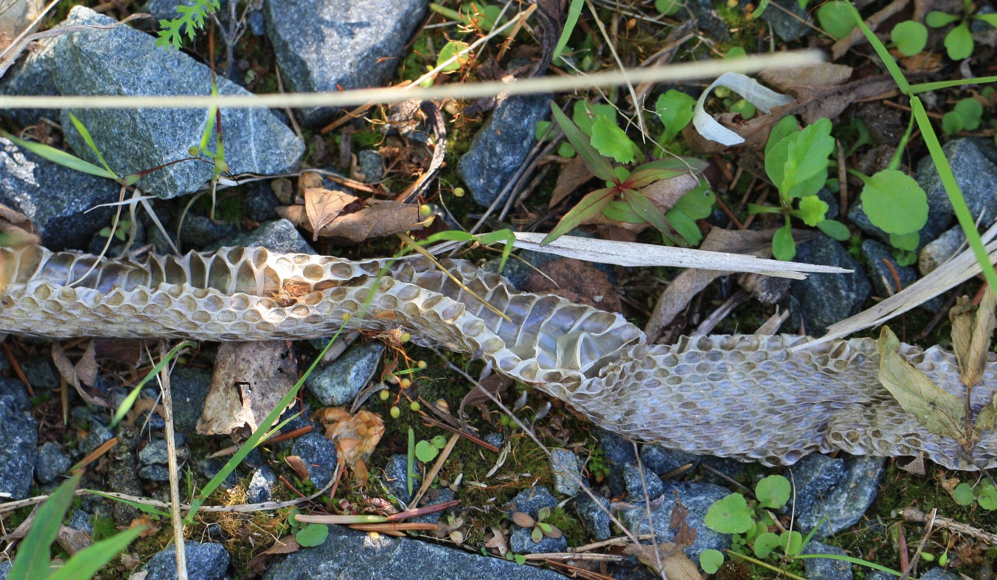 Valokuvaaja: Jaana Saarelainen