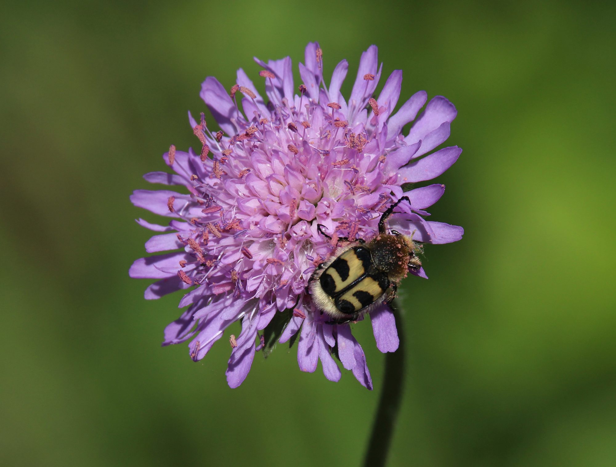 Valokuvaaja: Jaana Saarelainen