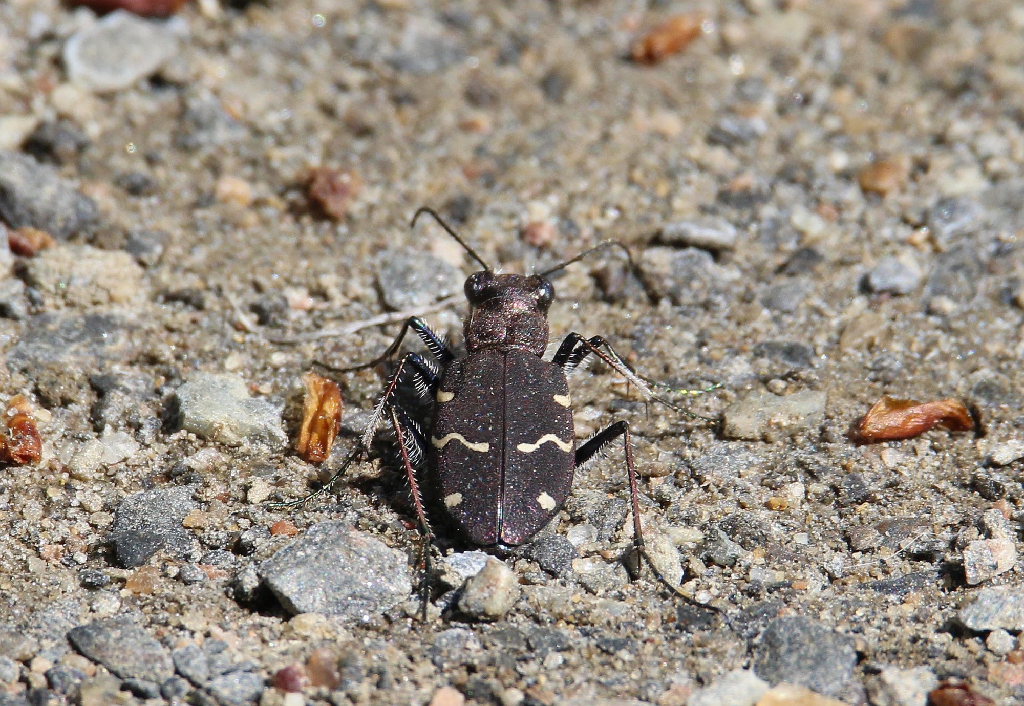 Valokuvaaja: Jaana Saarelainen