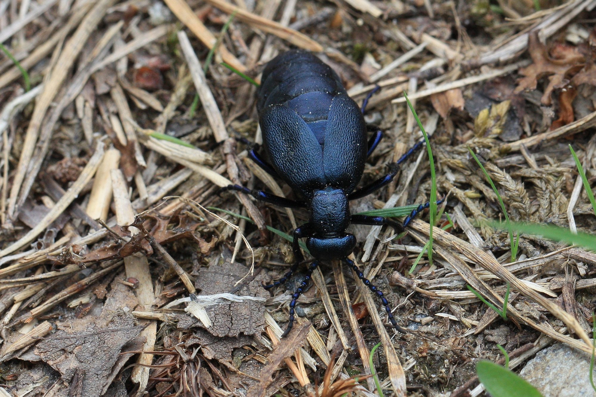 Valokuvaaja: Jaana Saarelainen