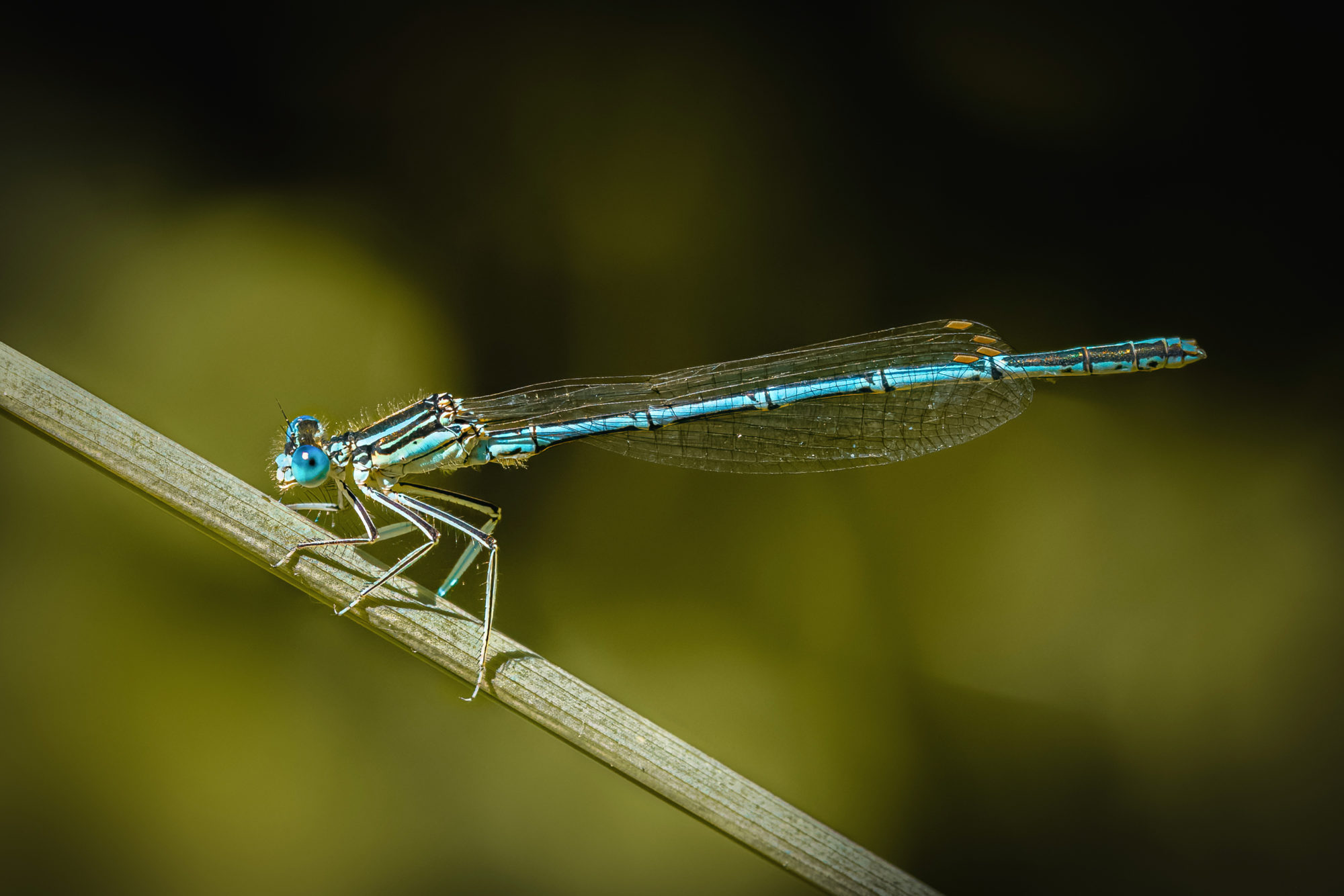 Valokuvaaja: Risto Lavi