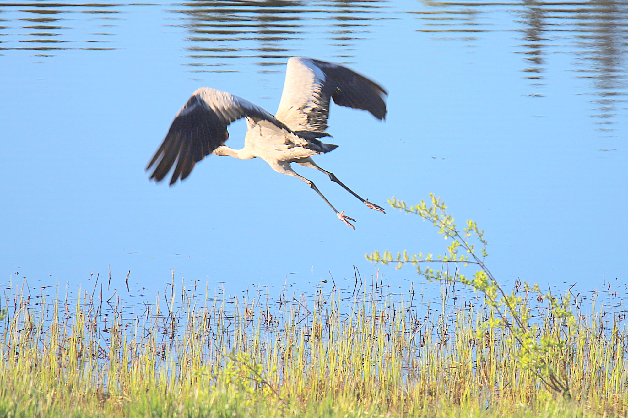 Valokuvaaja: sirpa jyske