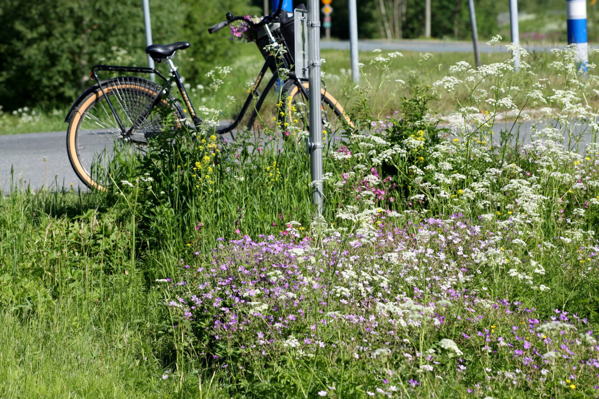 Valokuvaaja: Pirkko Siukonen