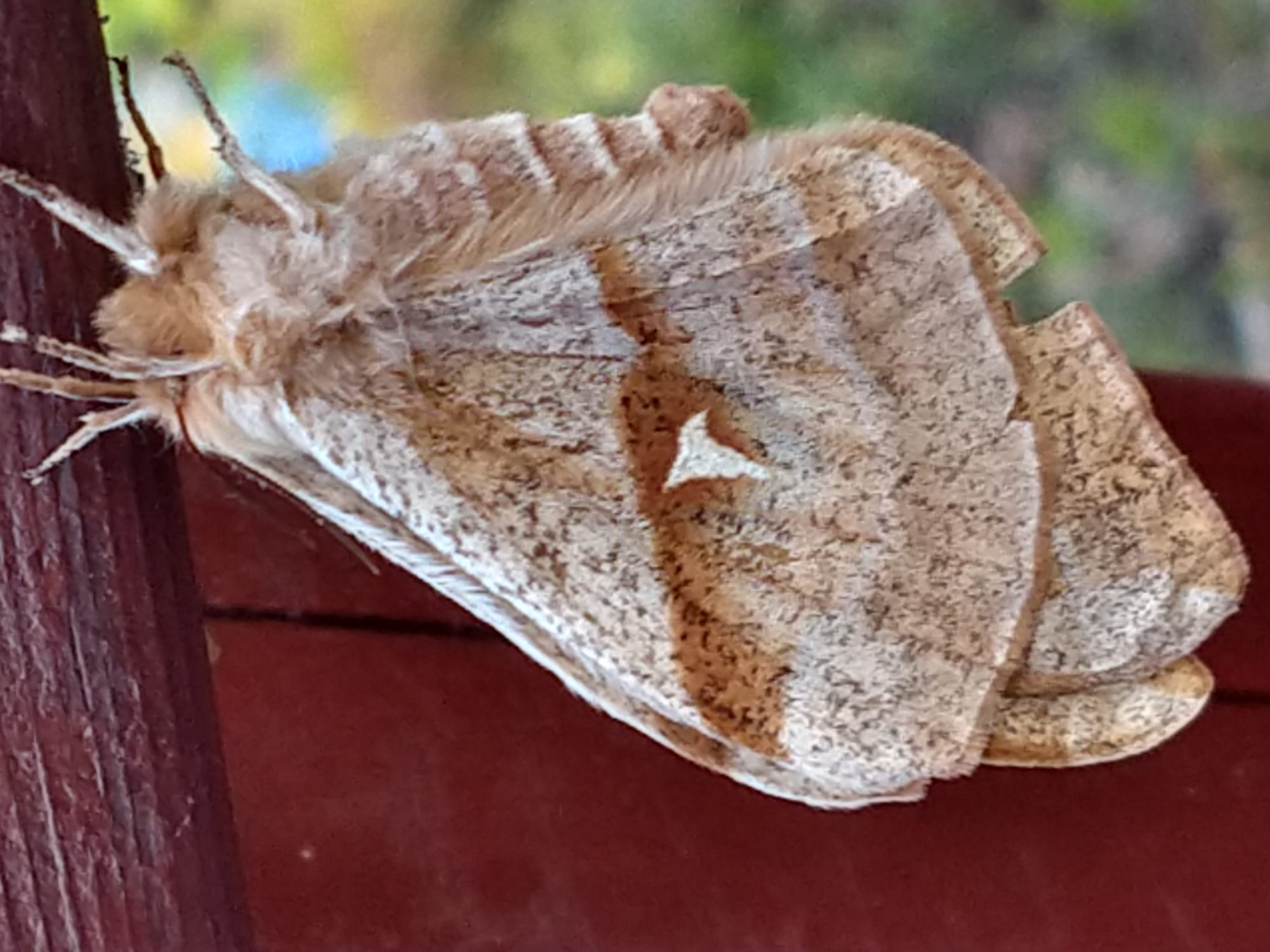 Valokuvaaja: Pekka Ahlgren