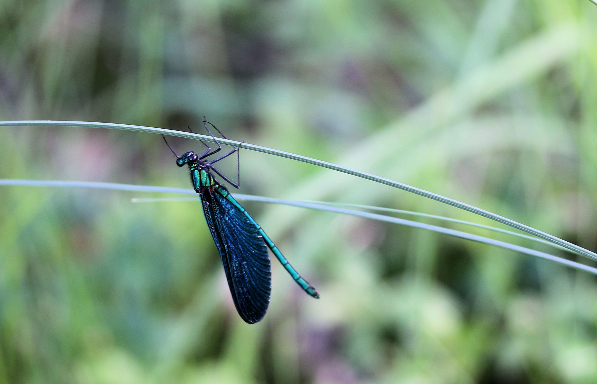 Valokuvaaja: Ahti Keränen