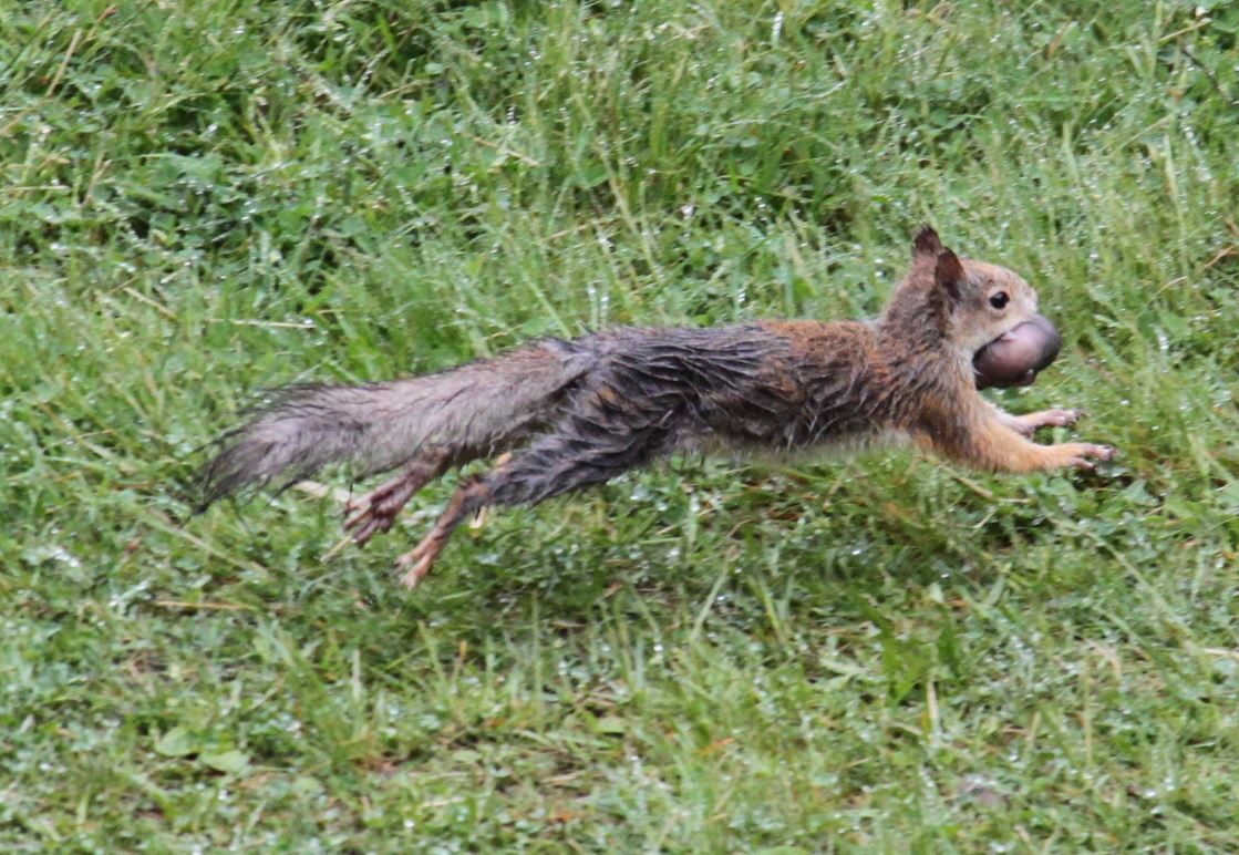 Valokuvaaja: Tea Holm