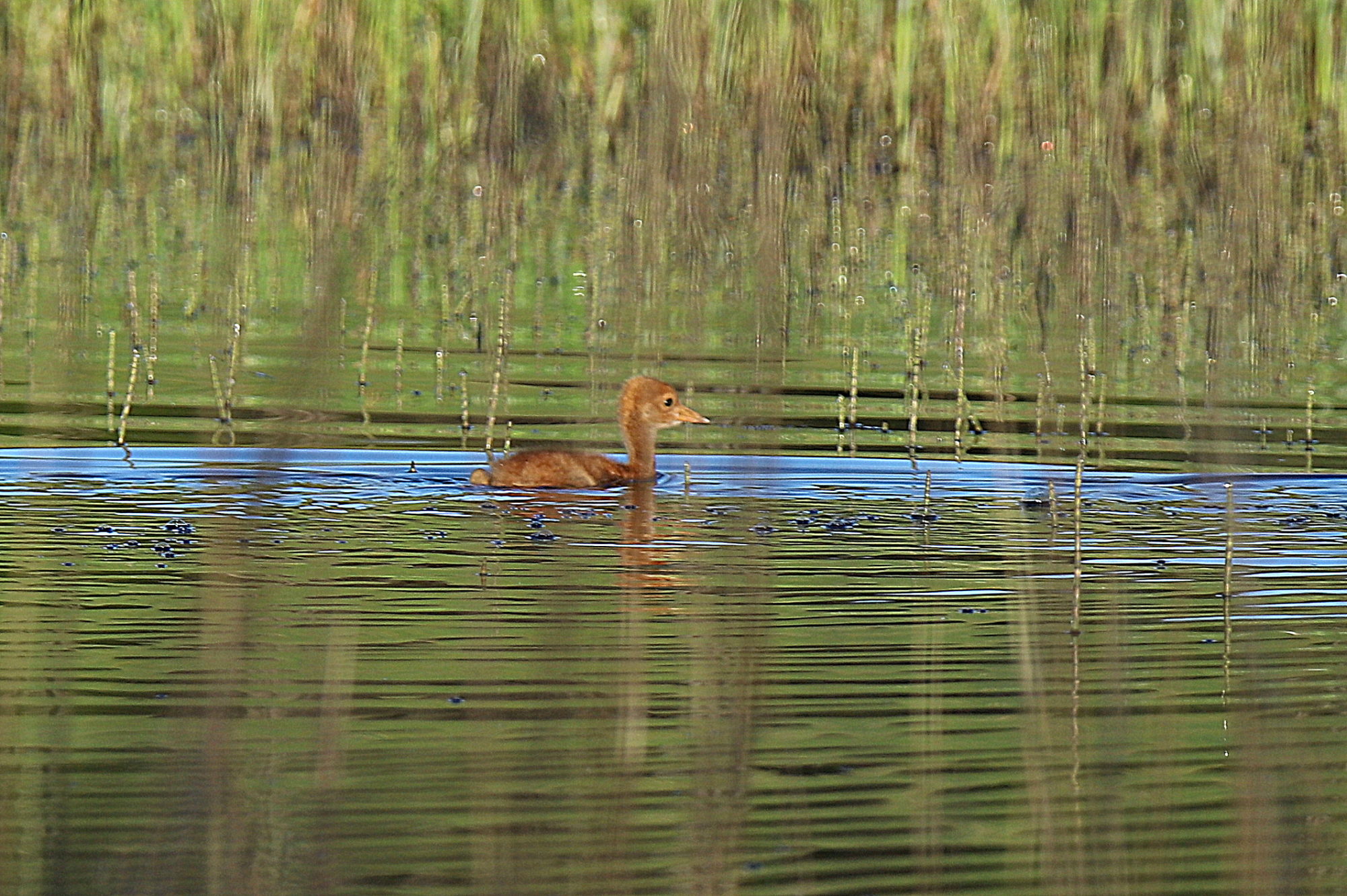 Valokuvaaja: sirpa jyske