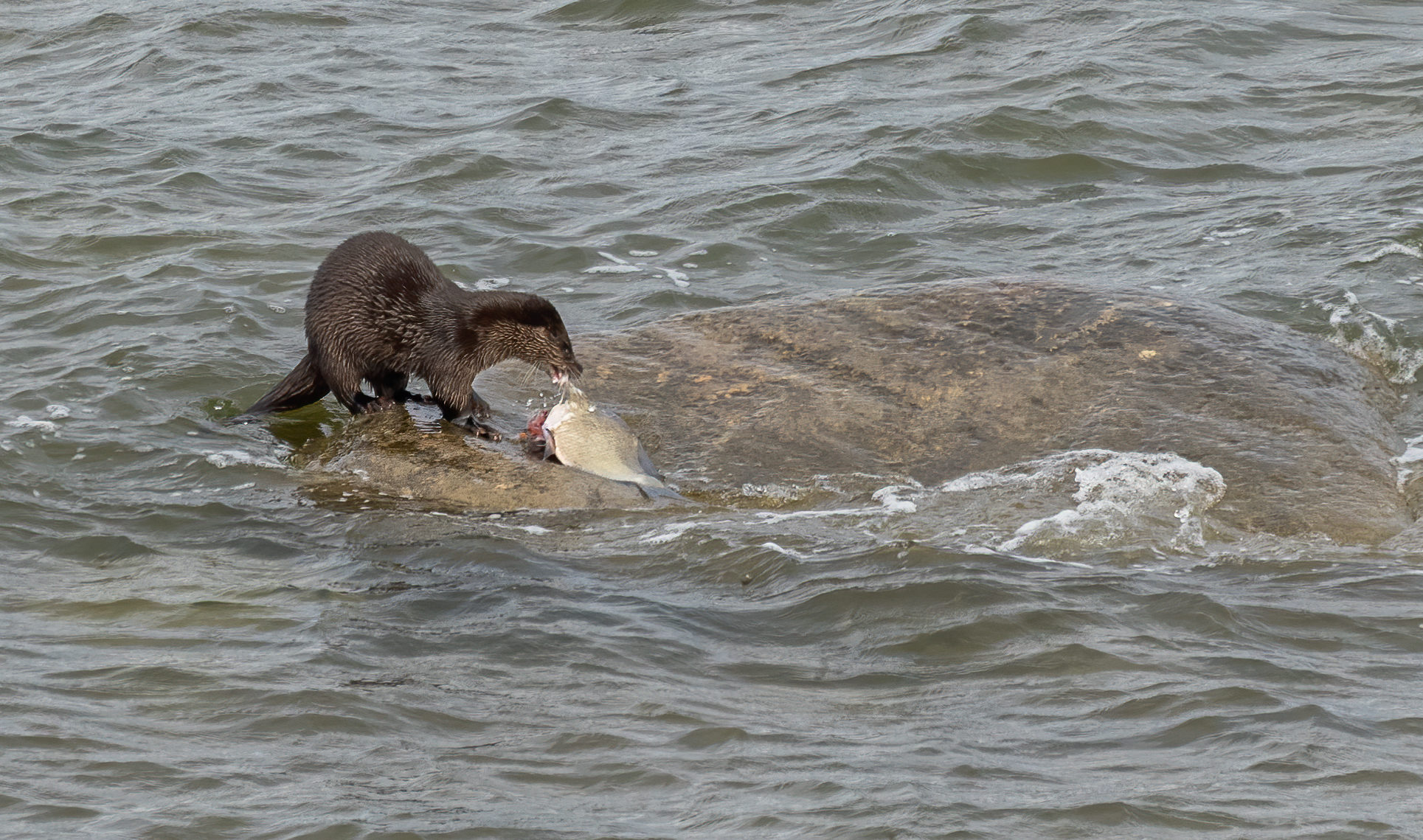 Valokuvaaja: Jukka Koskelainen