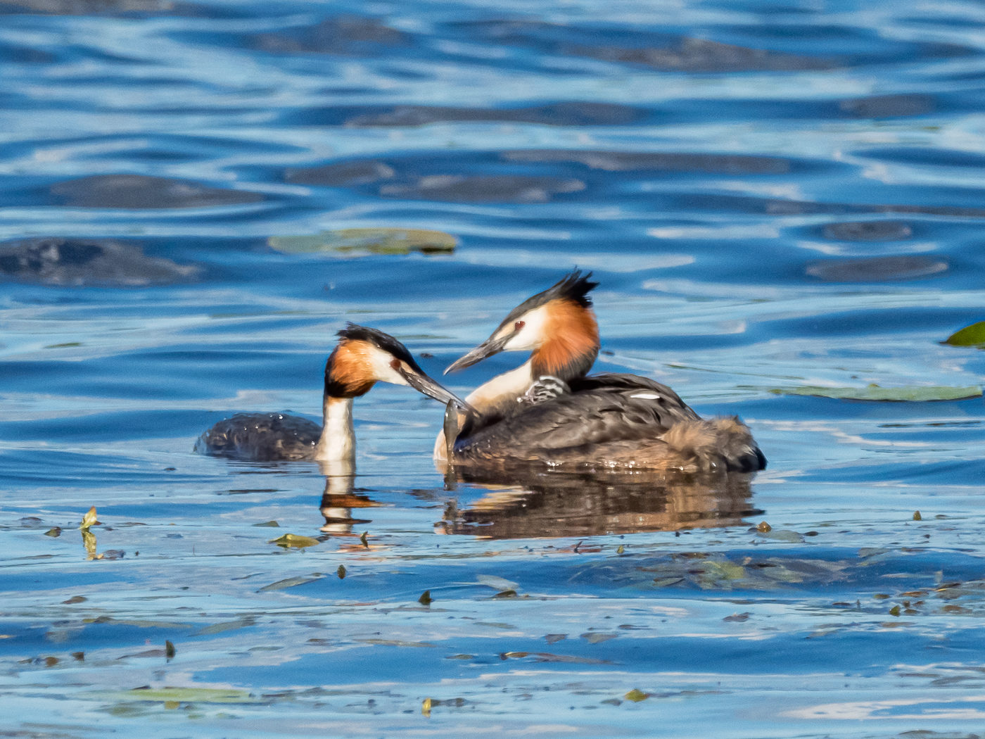 Valokuvaaja: Jukka Luoma