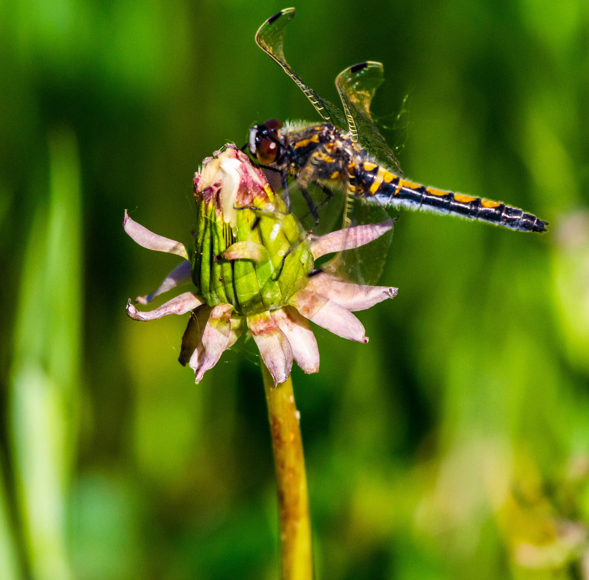Valokuvaaja: Heikki  Heinonen Valokuvaaja: Heikki  Heinonen