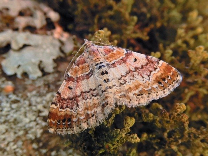 Valokuvaaja: Lasse Aho